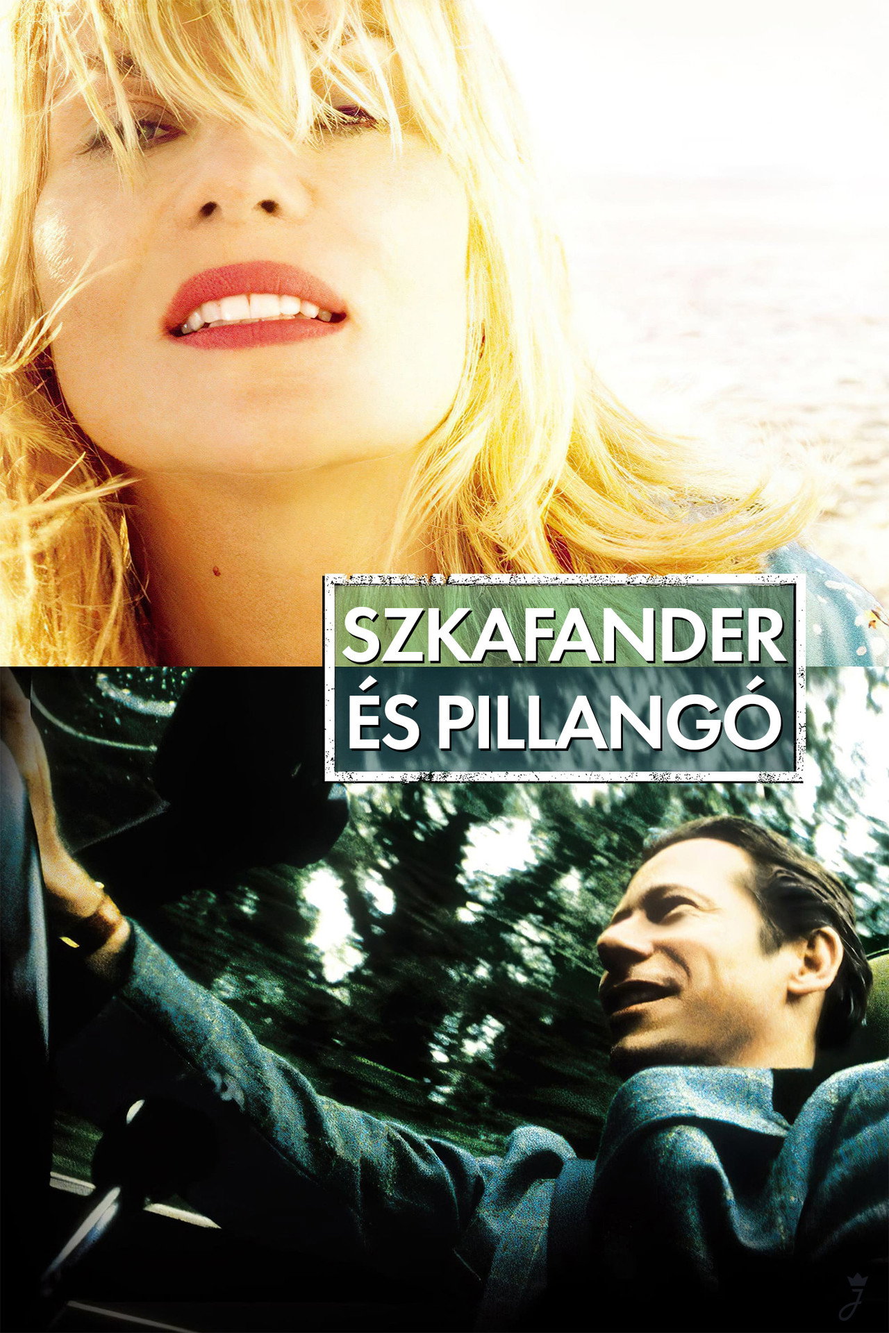 Szkafander és pillangó – plakát 4