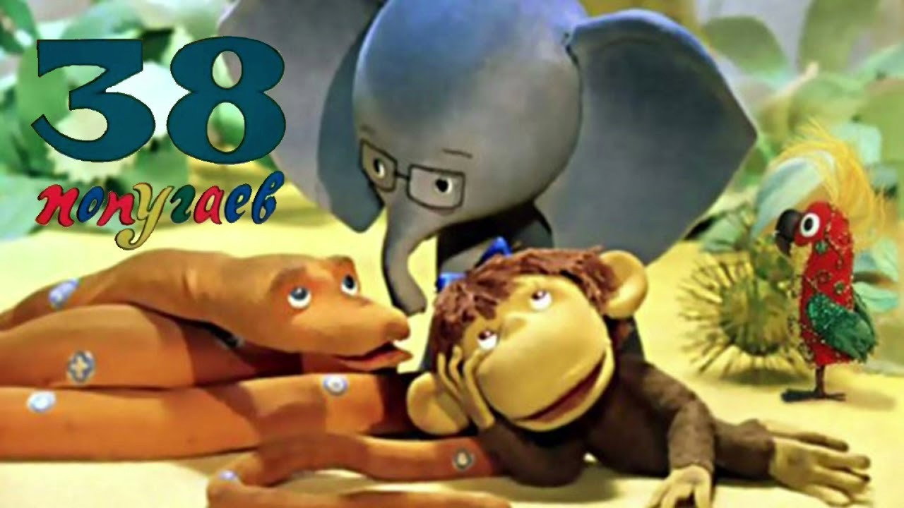 38 Parrots