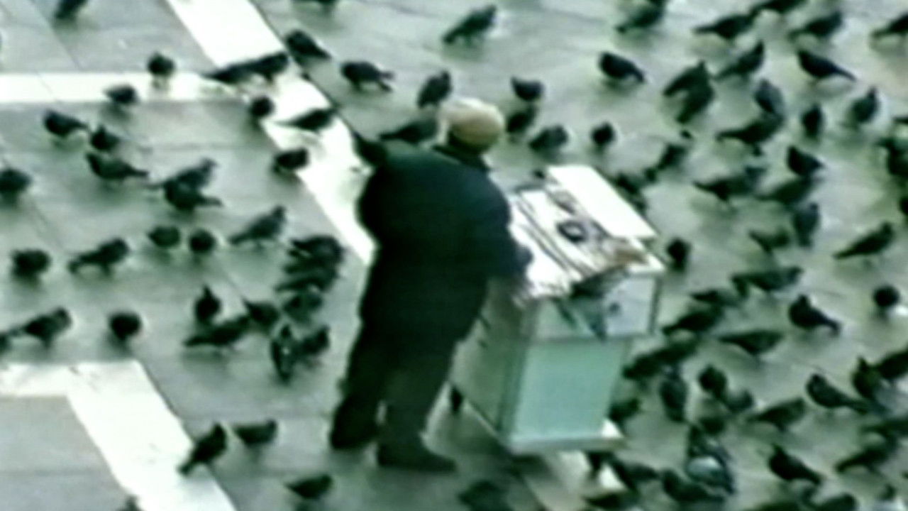 Funniest Pets & People — Épisode 18