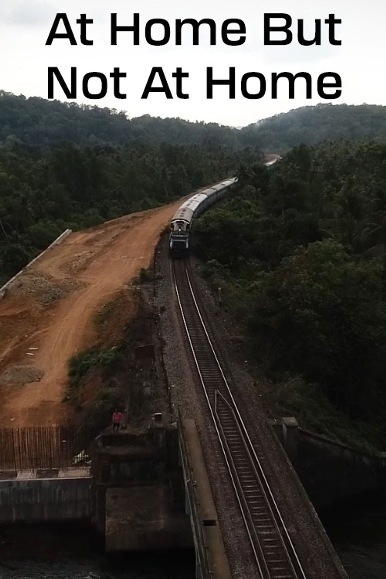 At Home But Not at Home Backdrop