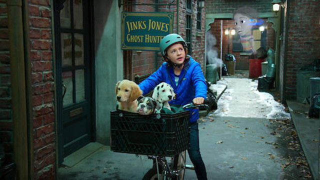 Image Cachorros fantasmas