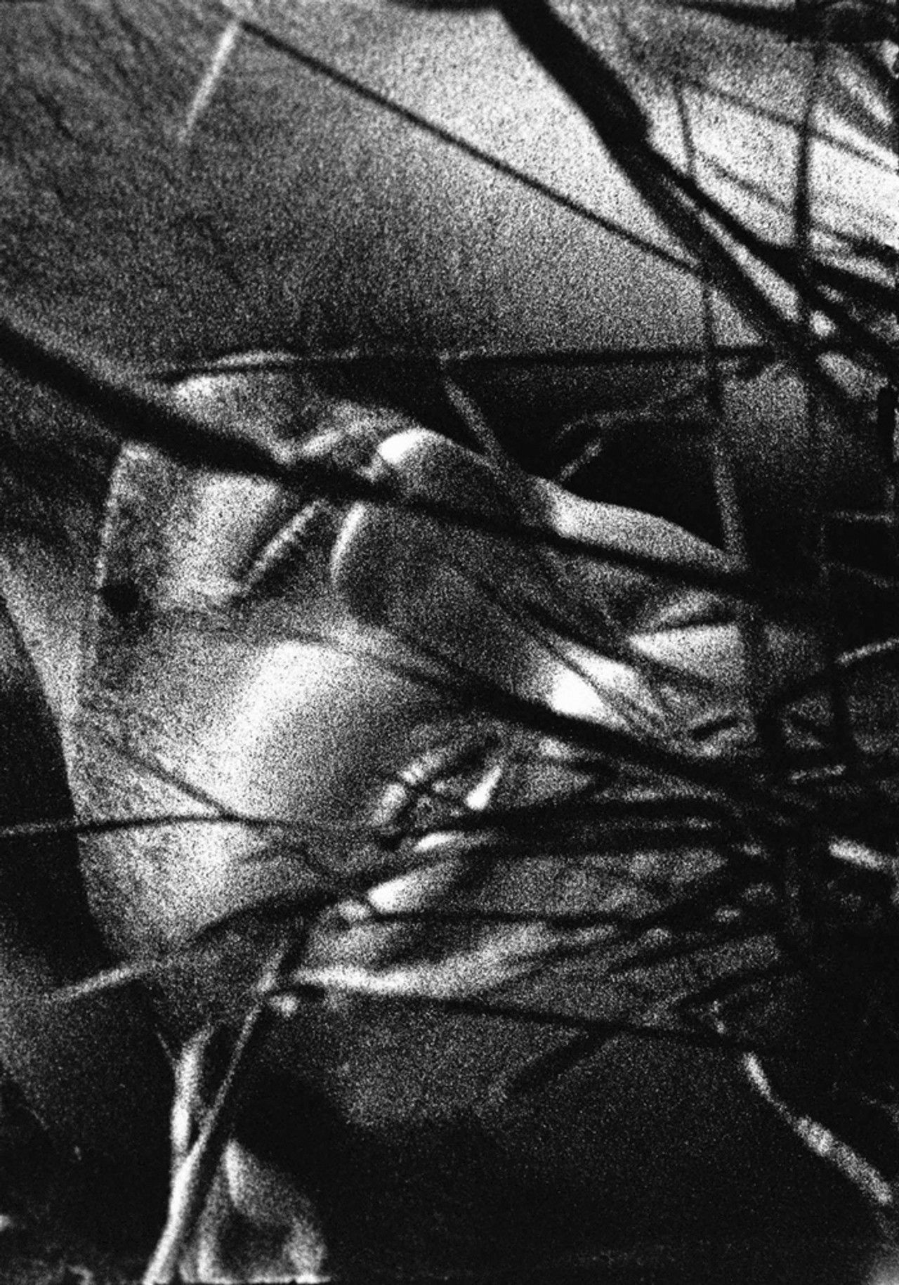 The Urine Crazed Corpse Catchers Backdrop