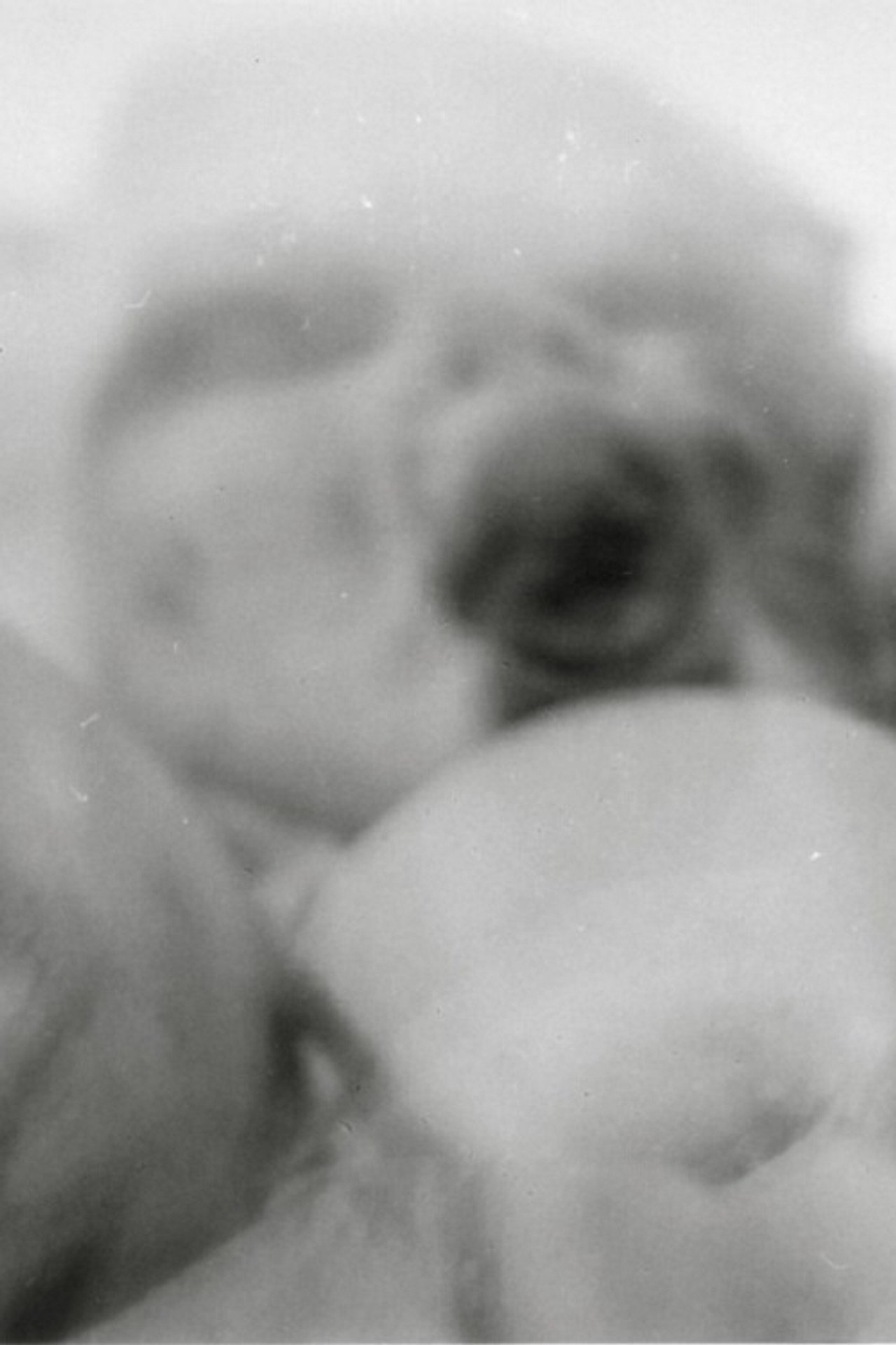 The Vanished filmaffisch