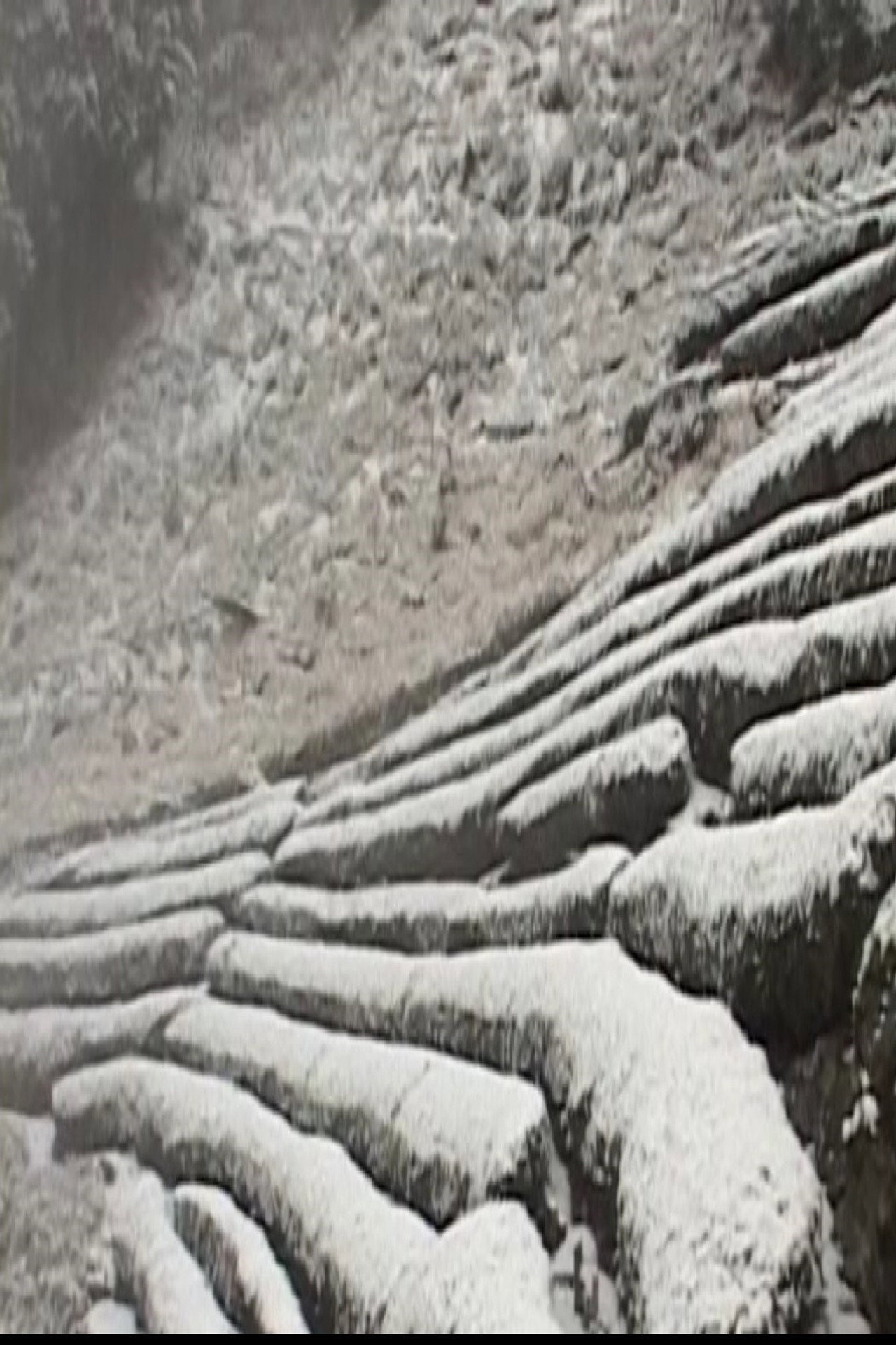 天竜区奥領家大沢 冬 filmaffisch