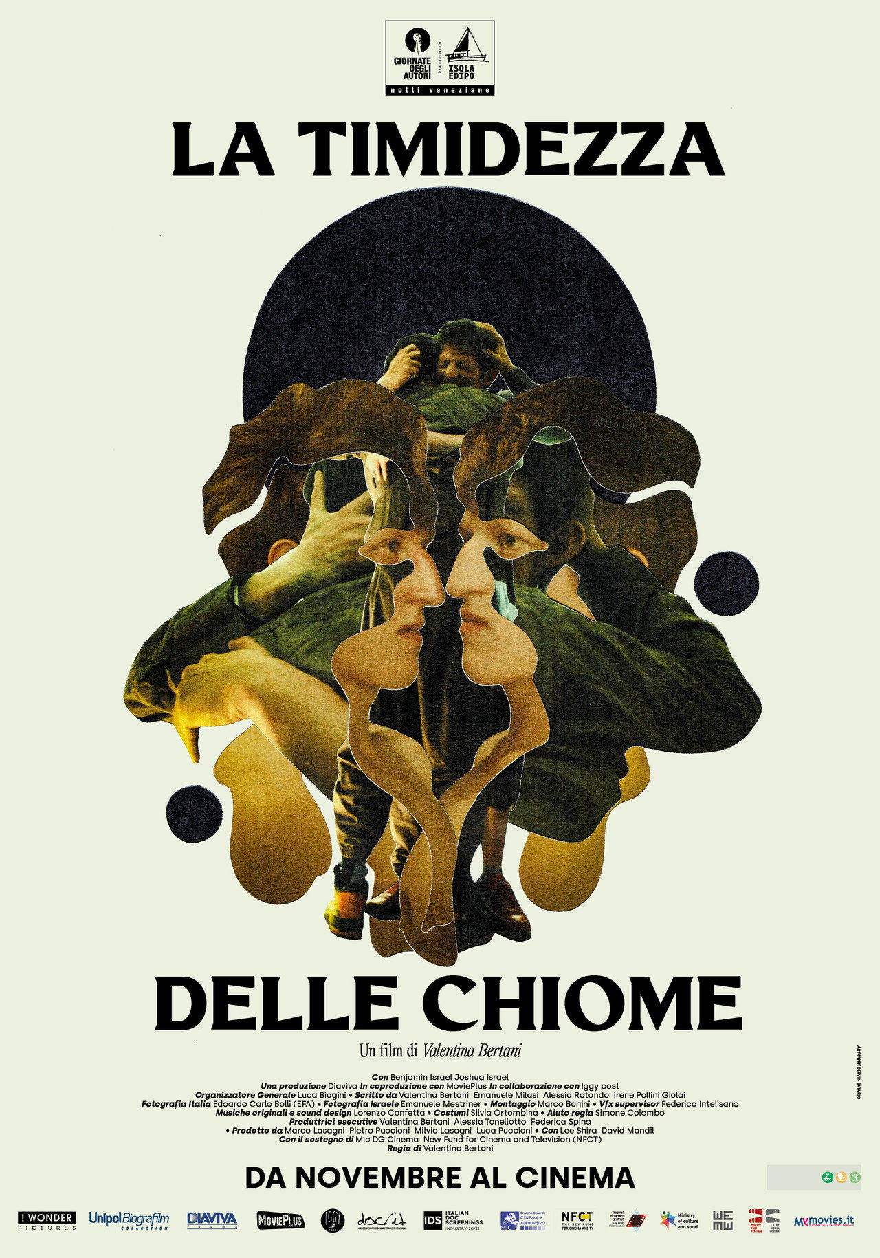 La timidezza delle chiome filmaffisch