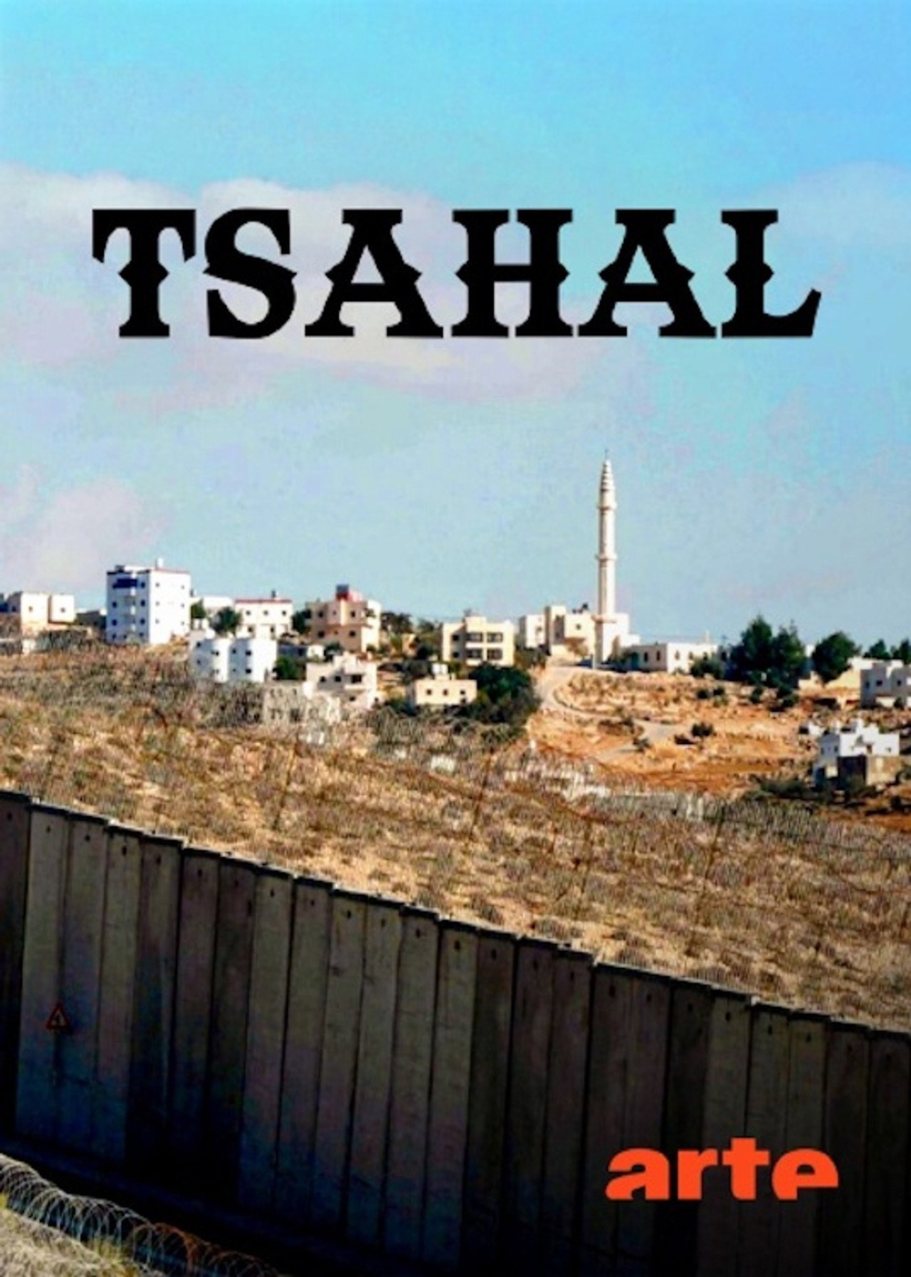 Tsahal, l’armée israélienne à l’épreuve poster