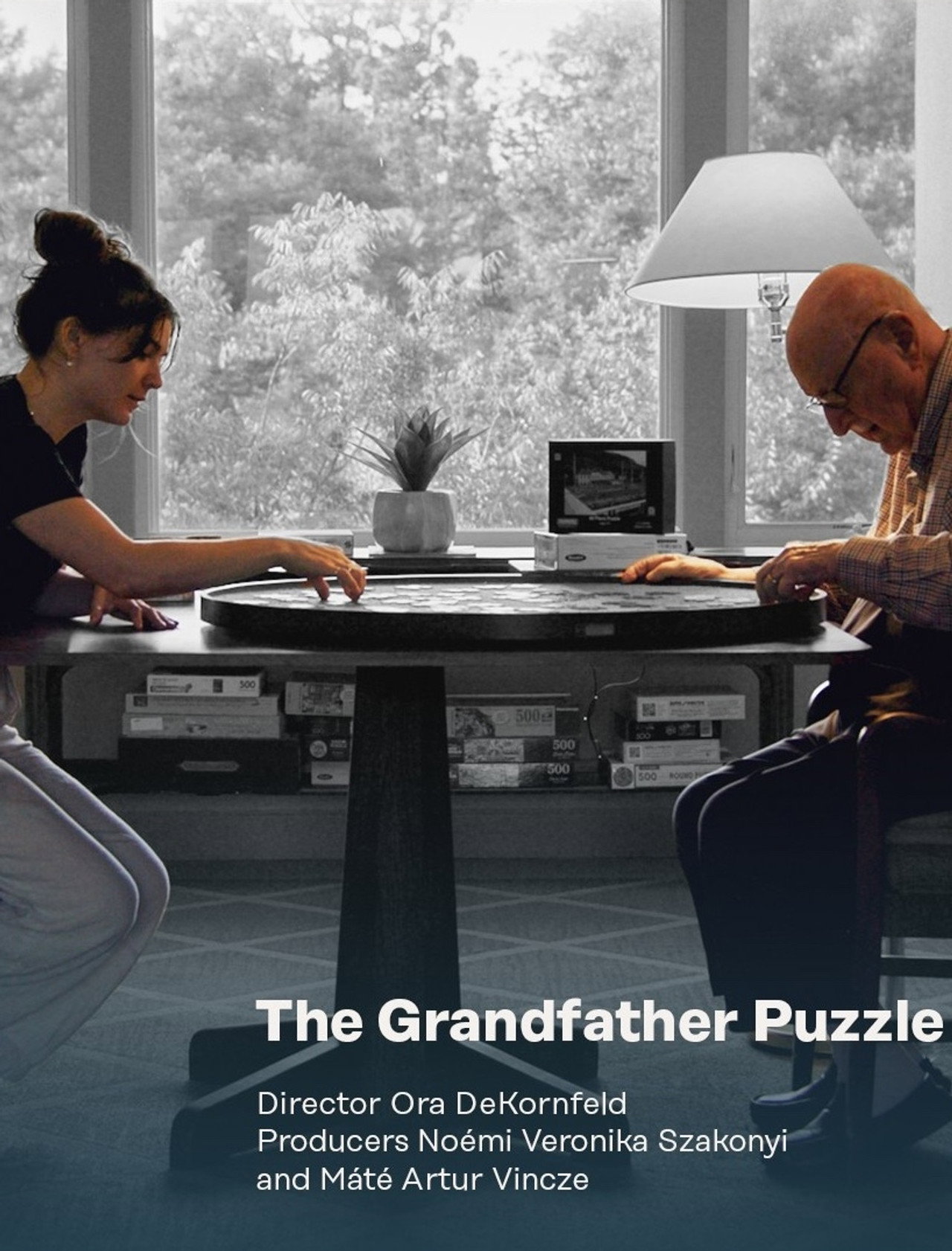 The Grandfather Puzzle filmaffisch