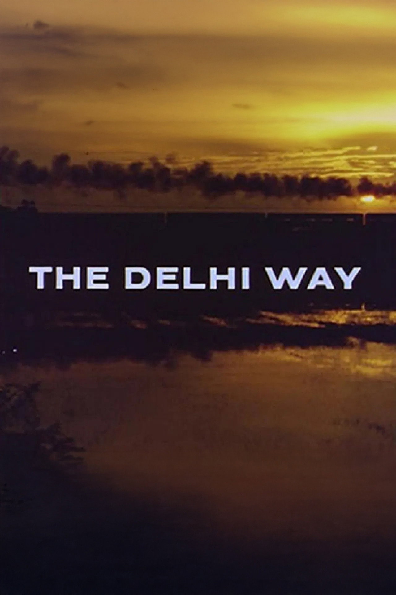 The Delhi Way