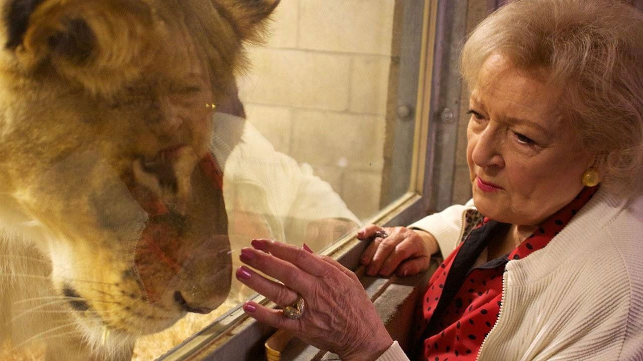 Betty White Goes Wild backdrop