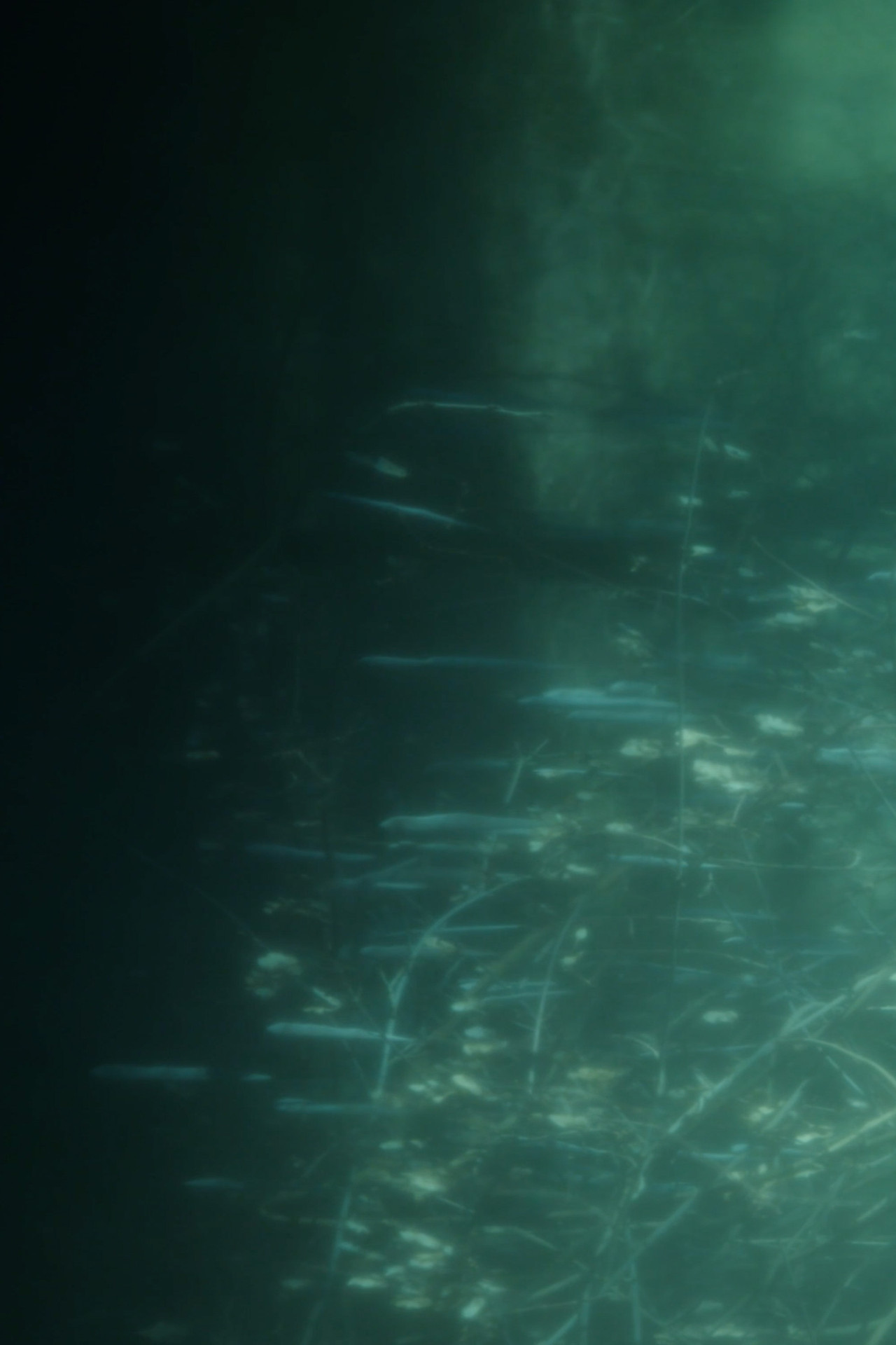 Notes of Forms filmaffisch