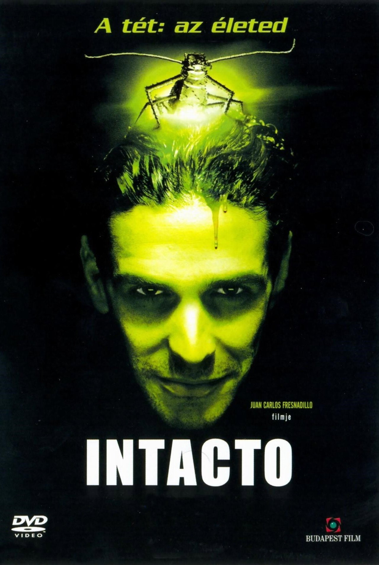 Intacto – plakát 3