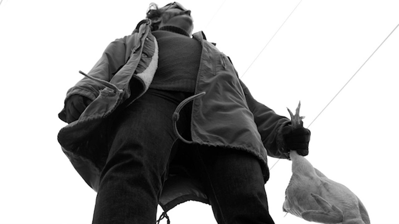 Gjuetari i pulave backdrop