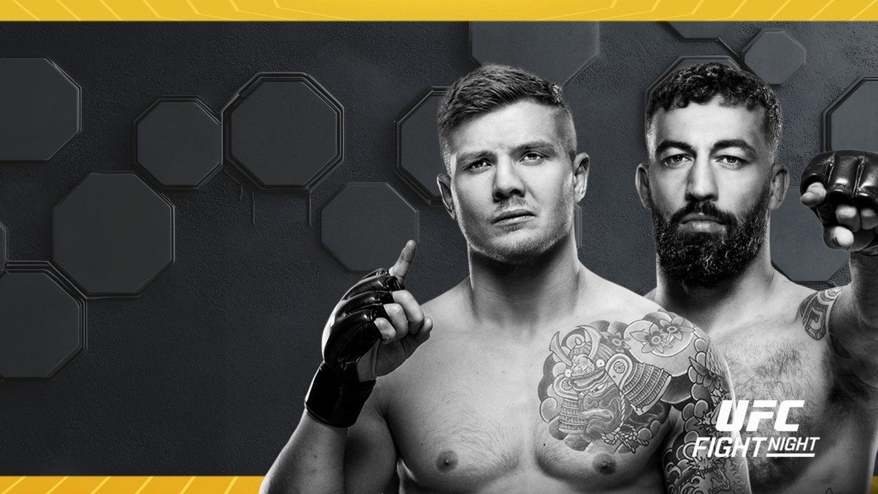 UFC Fight Night 254: Vettori vs. Dolidze 2