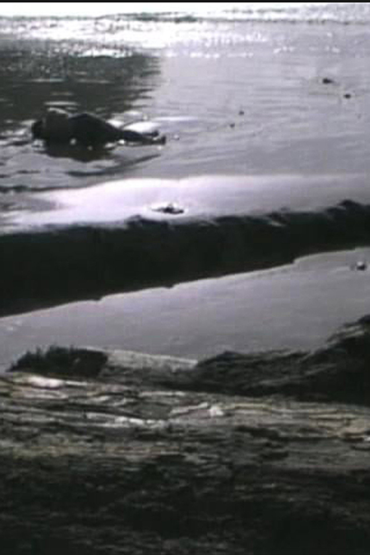Incidence of Catastrophe filmaffisch