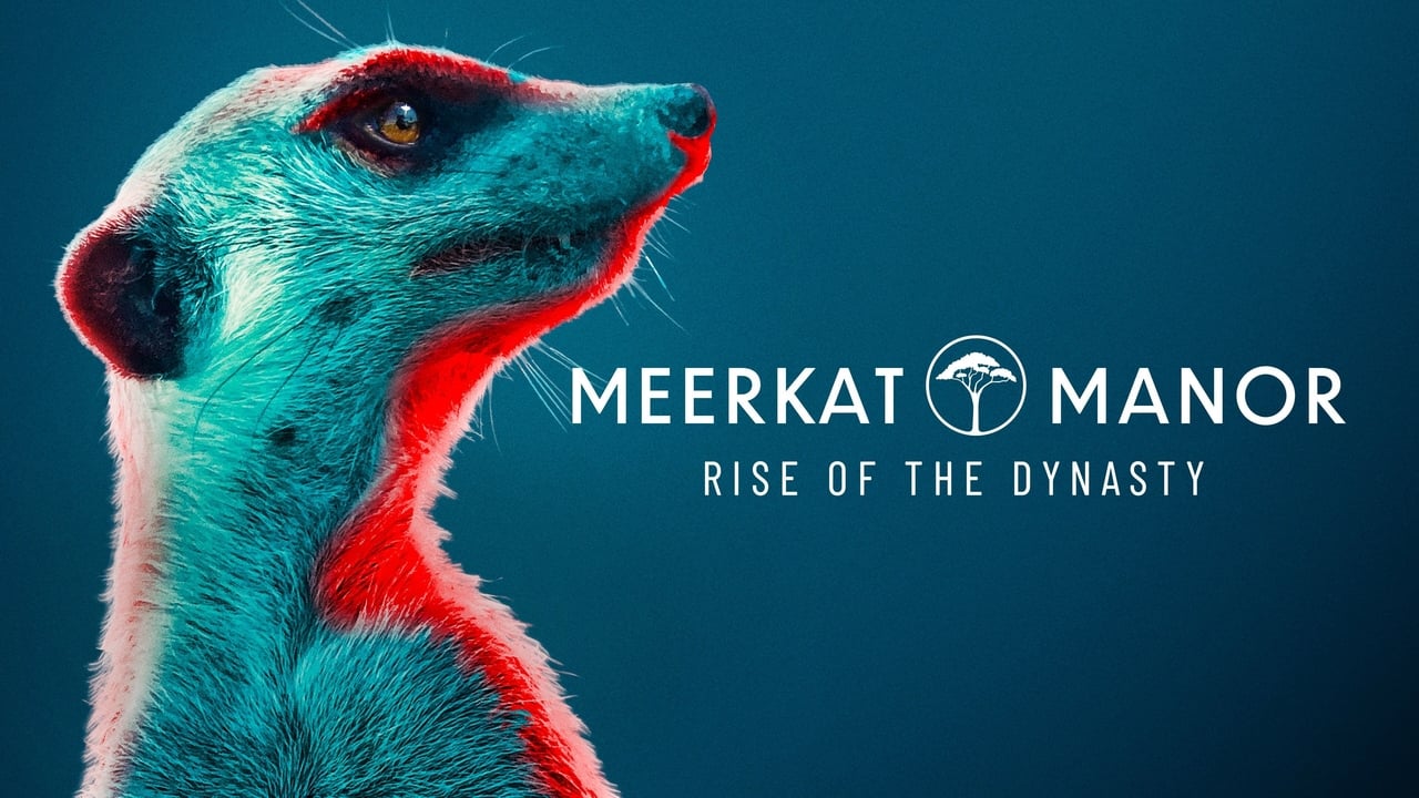 Meerkat Manor: Rise of the Dynasty background