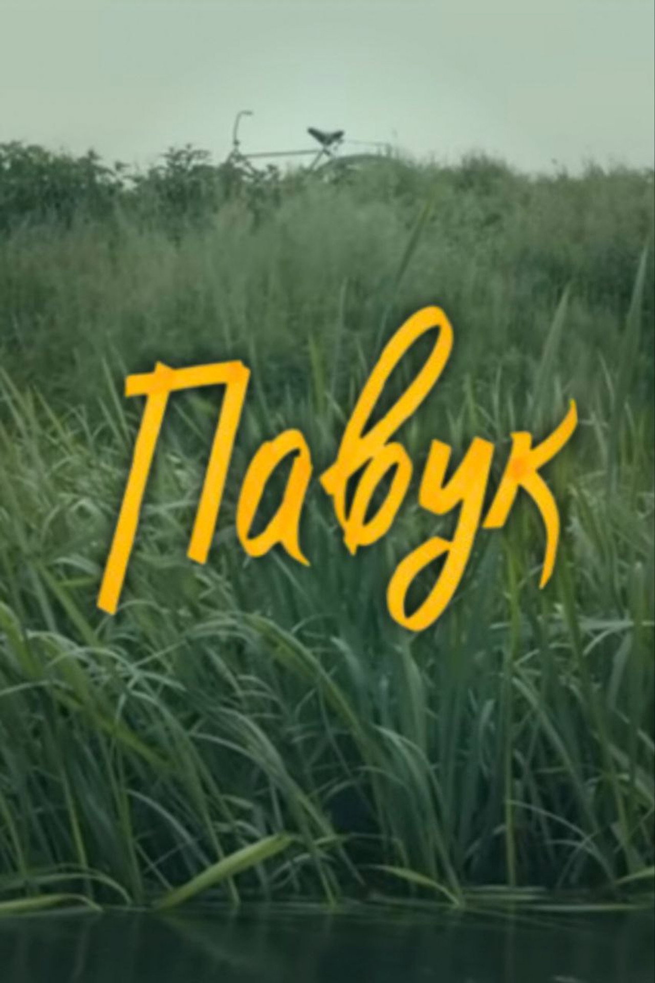 DZIDZIO: Павук filmaffisch