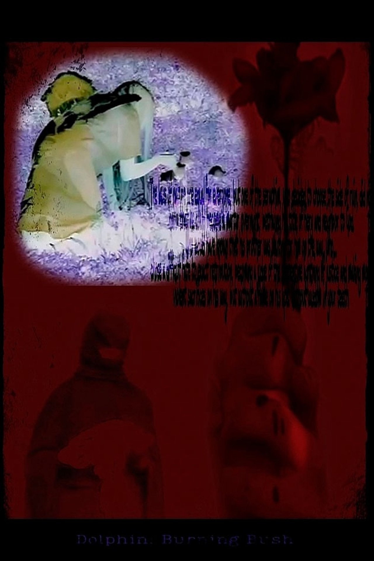 Dolphin: Burning bush