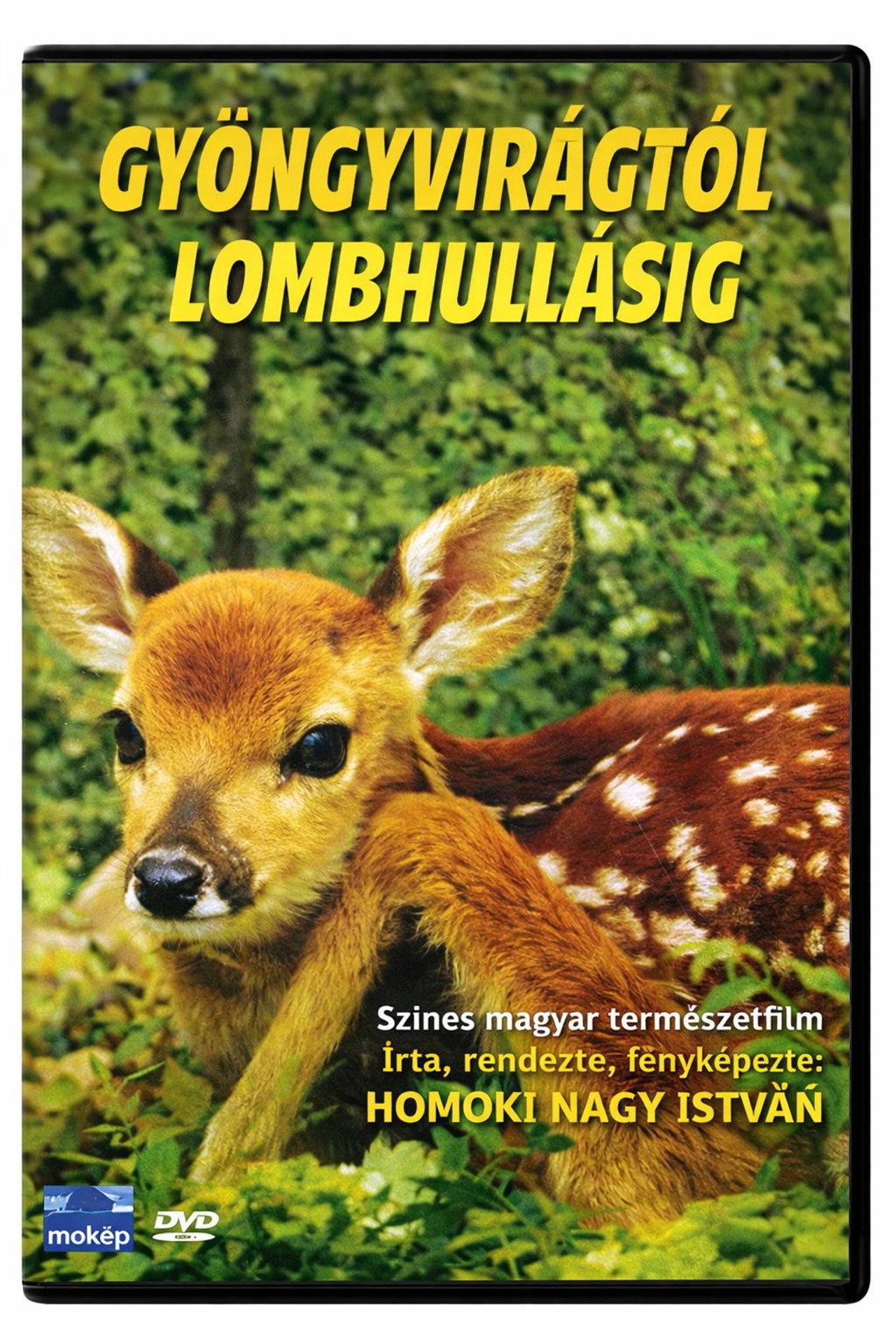 Gyöngyvirágtól lombhullásig – plakát 4