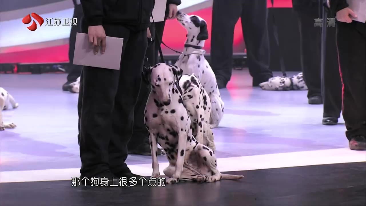 最强大脑 — Épisode 2