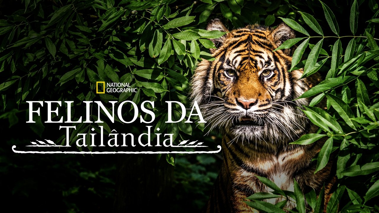 title image