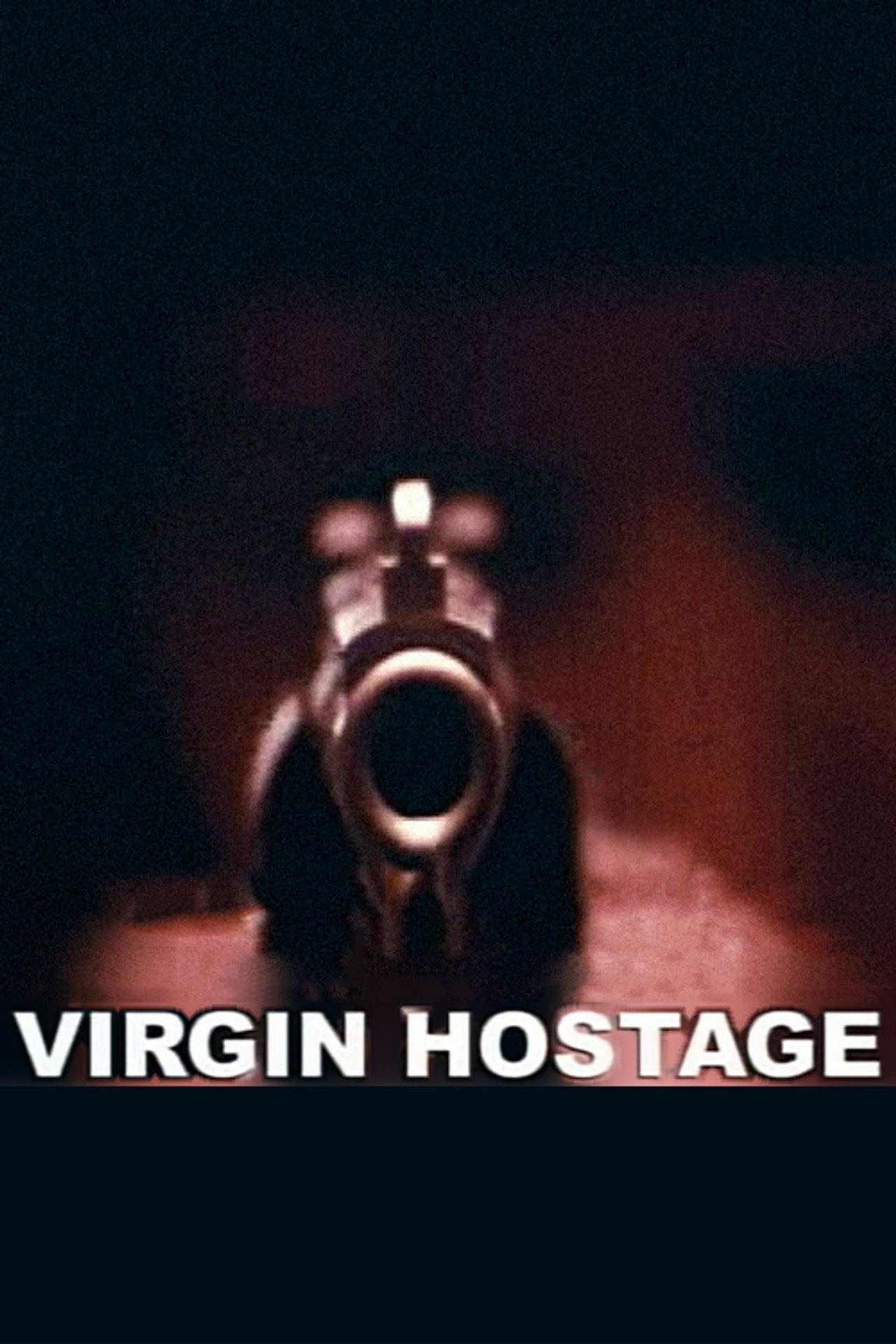 Virgin Hostage filmaffisch