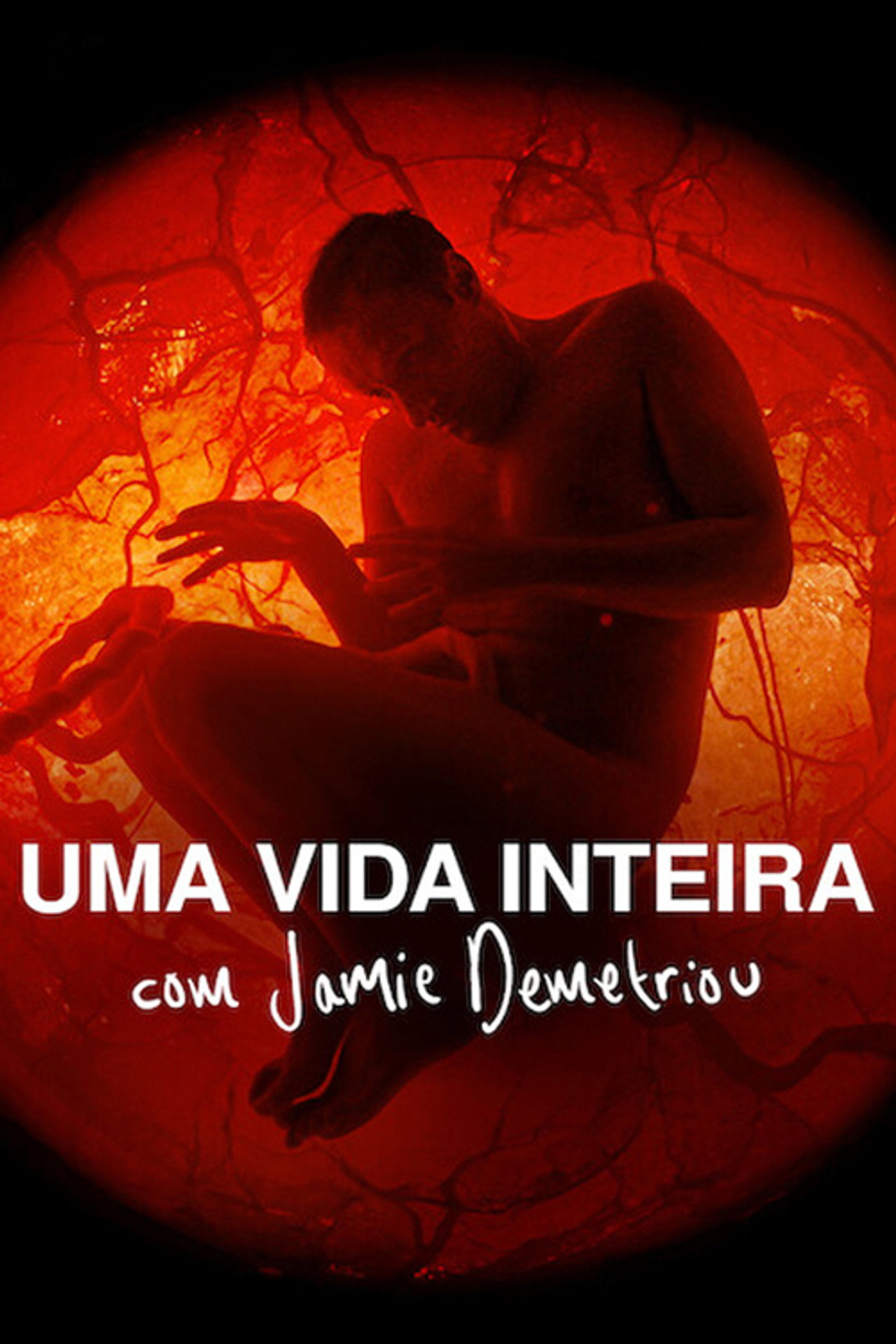 Pôster de A Whole Lifetime with Jamie Demetriou