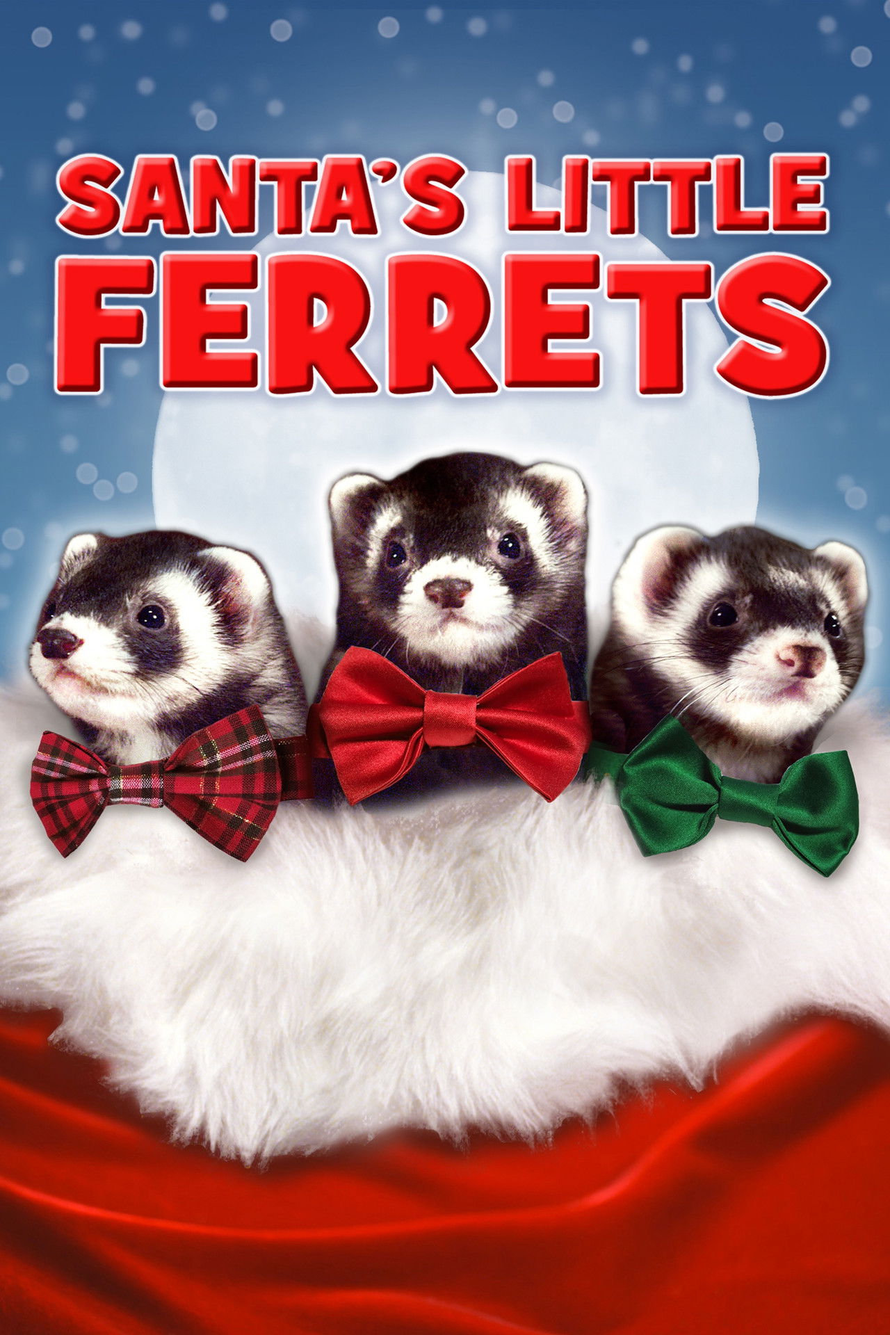 Santa's Little Ferrets Backdrop
