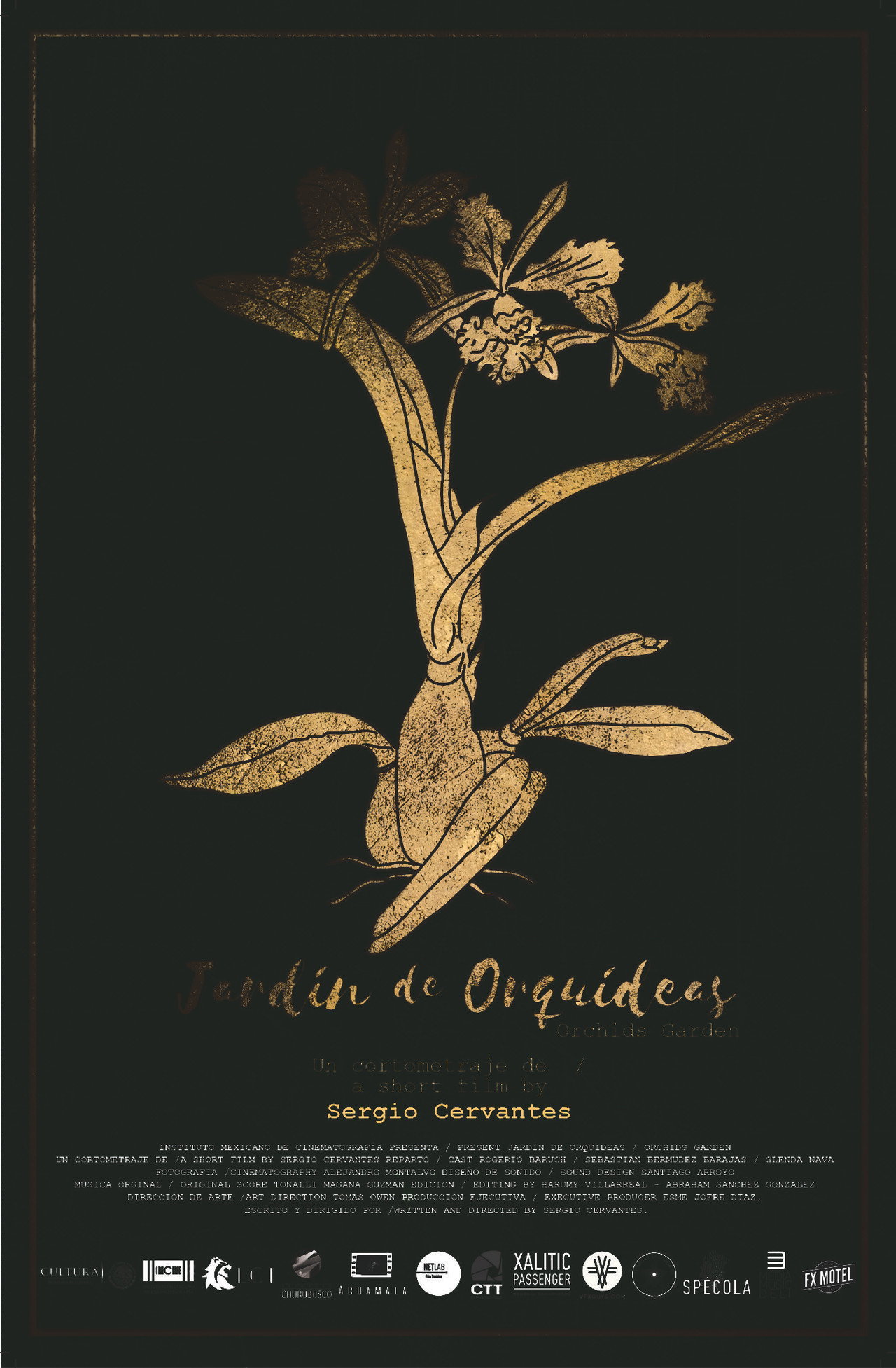 Jardín de orquídeas filmaffisch
