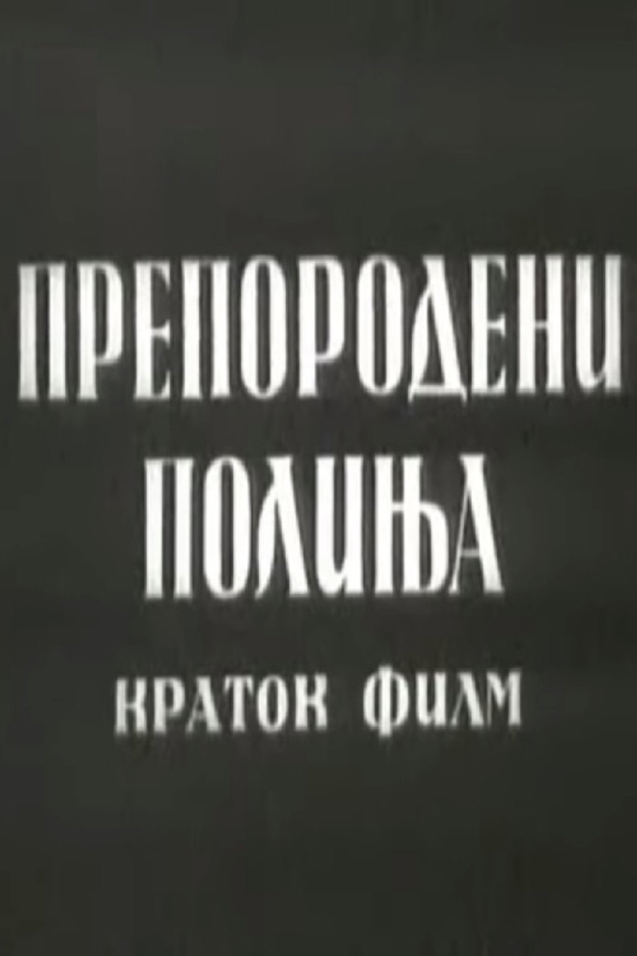 Препородени полиња filmaffisch