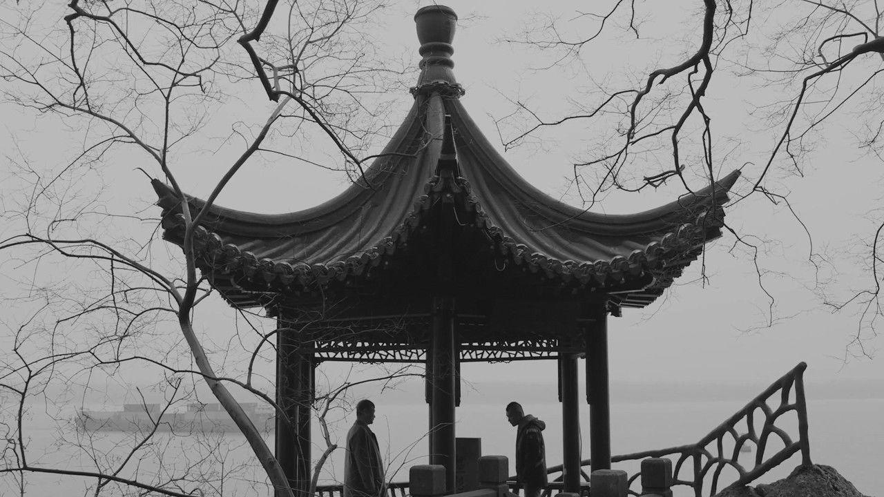 Treatise on Cold Pathogenic Diseases backdrop