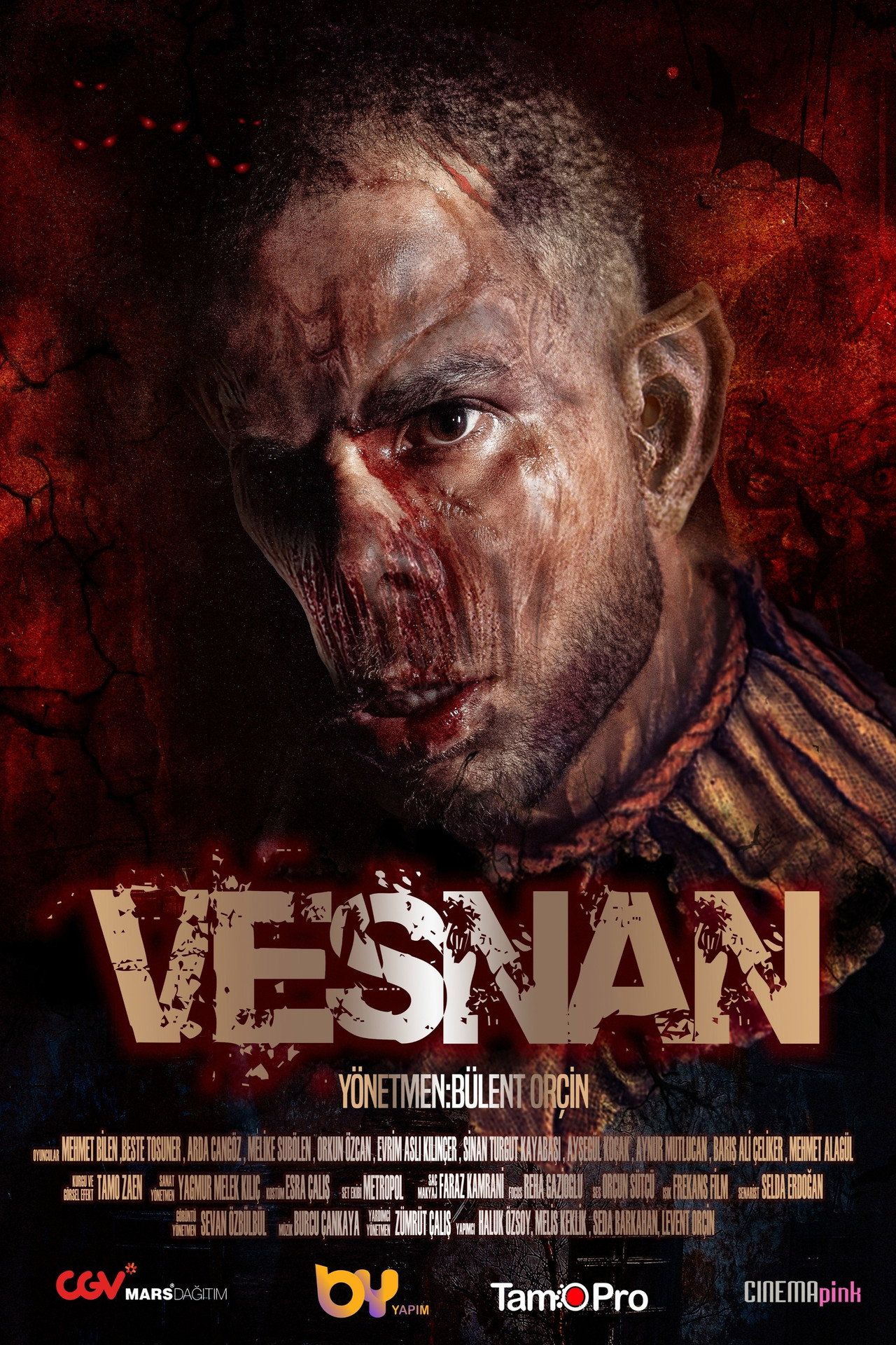 Vesnan filmaffisch