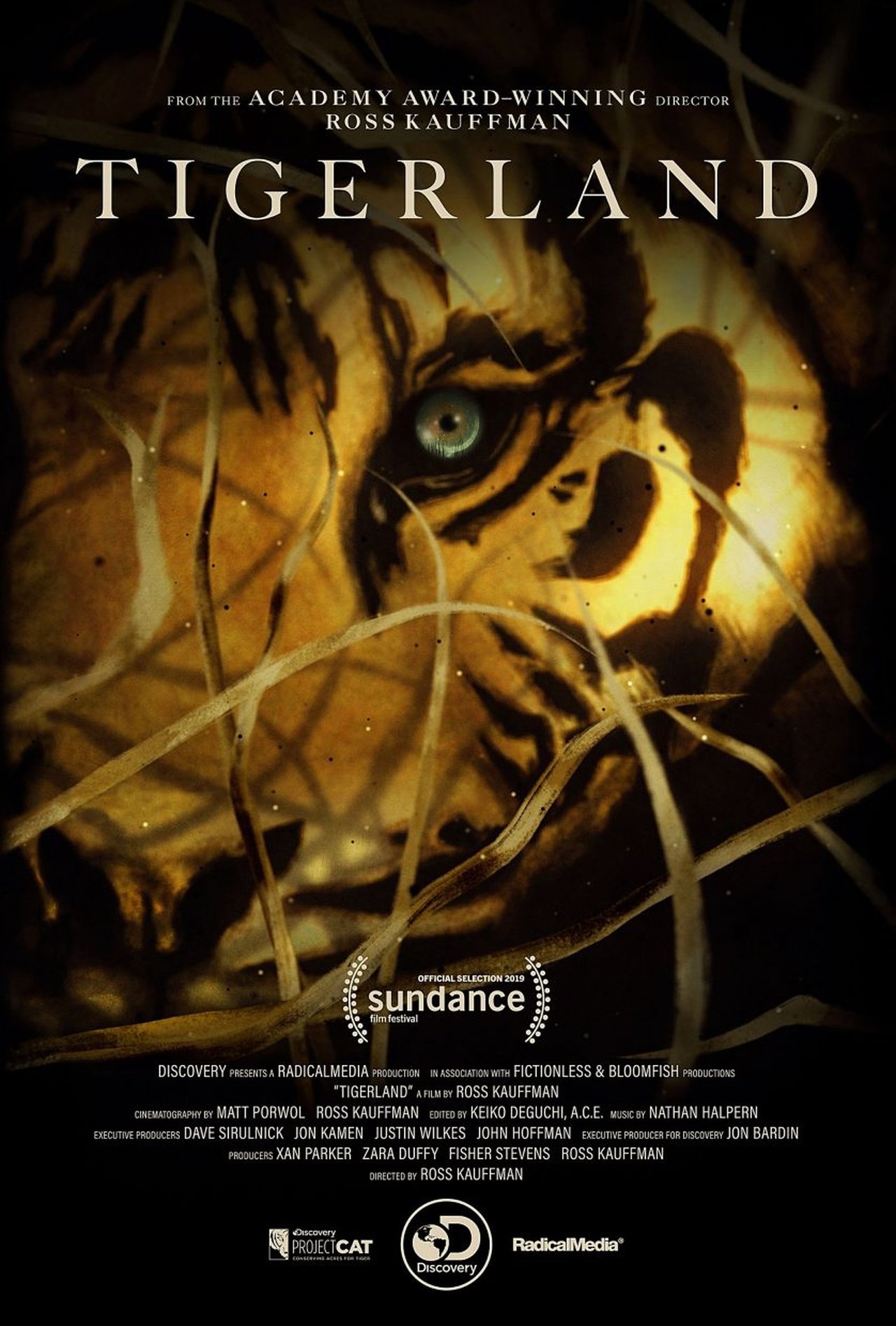 Tigerland : le dernier espoir du tigre poster