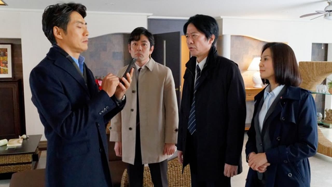 AIBOU: Tokyo Detective Duo - Season 19 Episode 15 : Episode 15