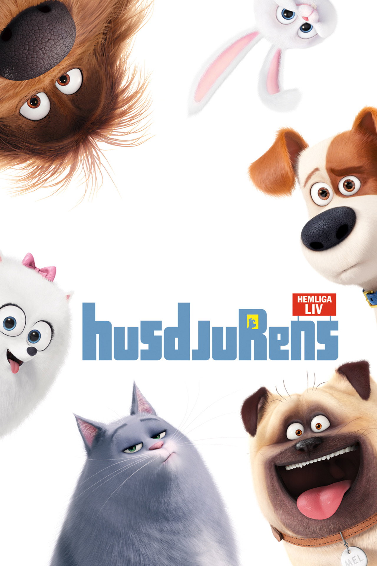Husdjurens hemliga liv filmaffisch