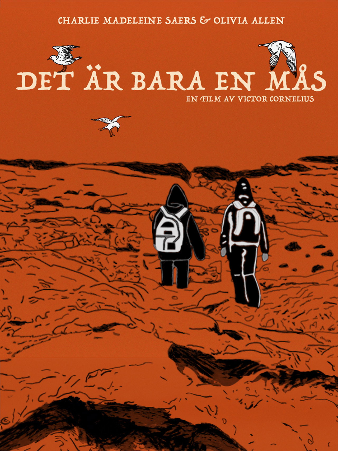 Det är bara en mås