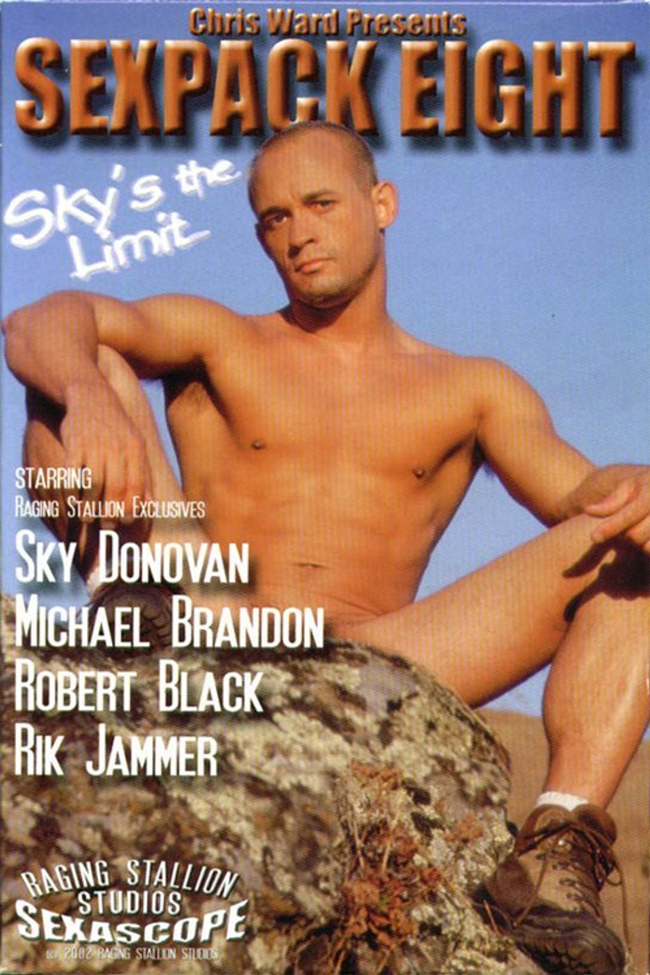 Sexpack Eight: Sky's the Limit filmaffisch