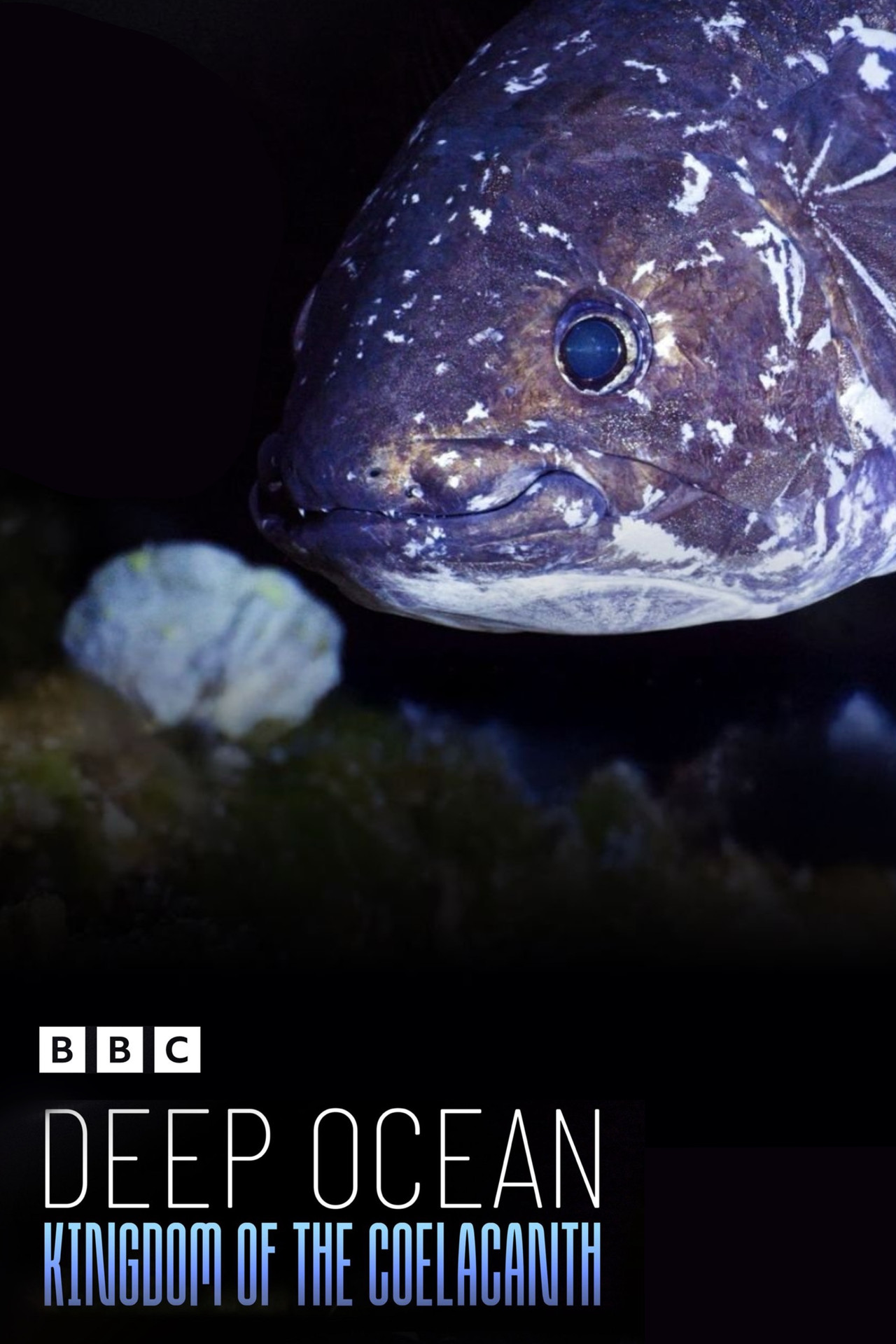 Deep Ocean: Kingdom of the Coelacanth