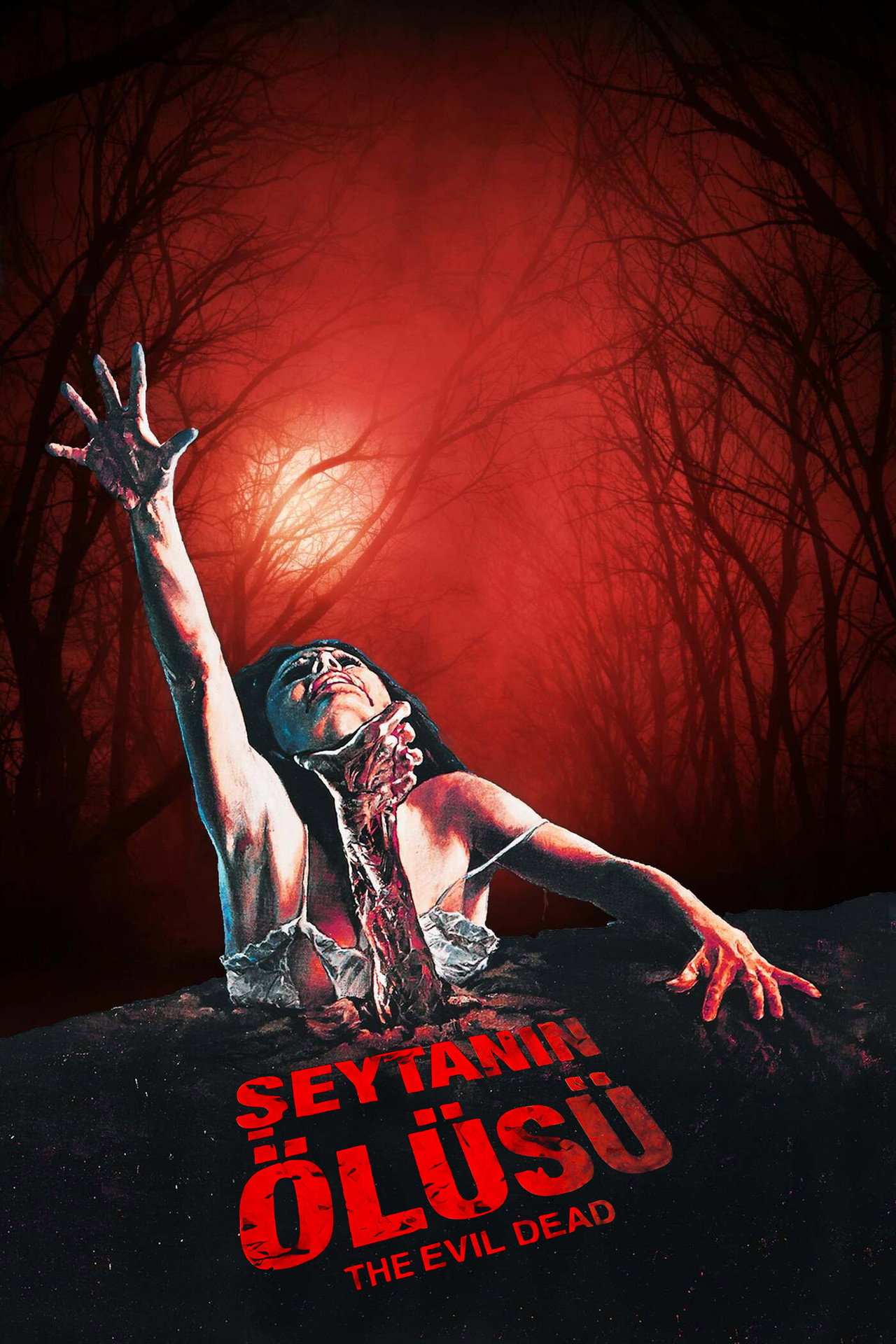 Şeytanın Ölüsü Poster