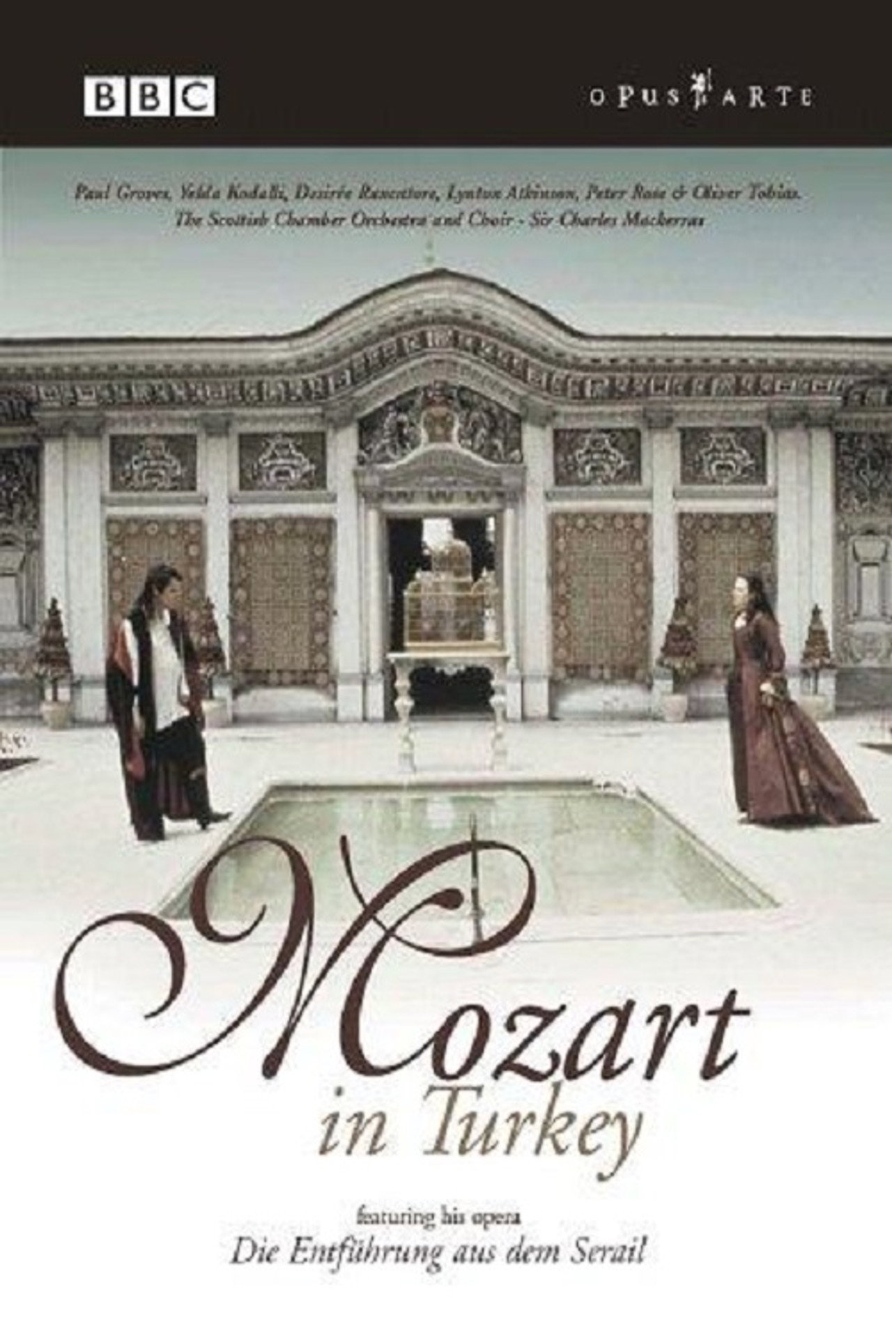 Mozart in Turkey filmaffisch