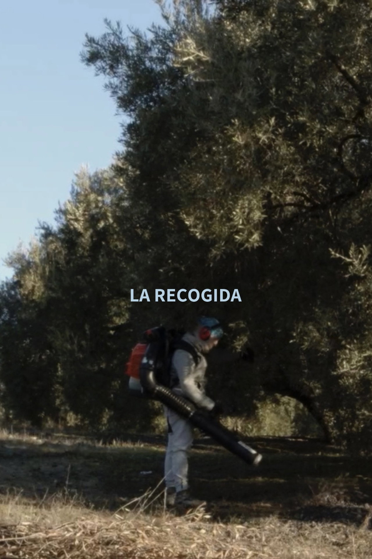 La Recogida filmaffisch
