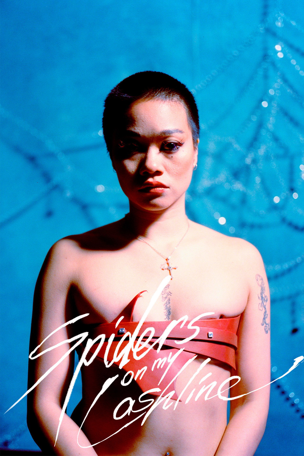 Spiders on My Lashline poster