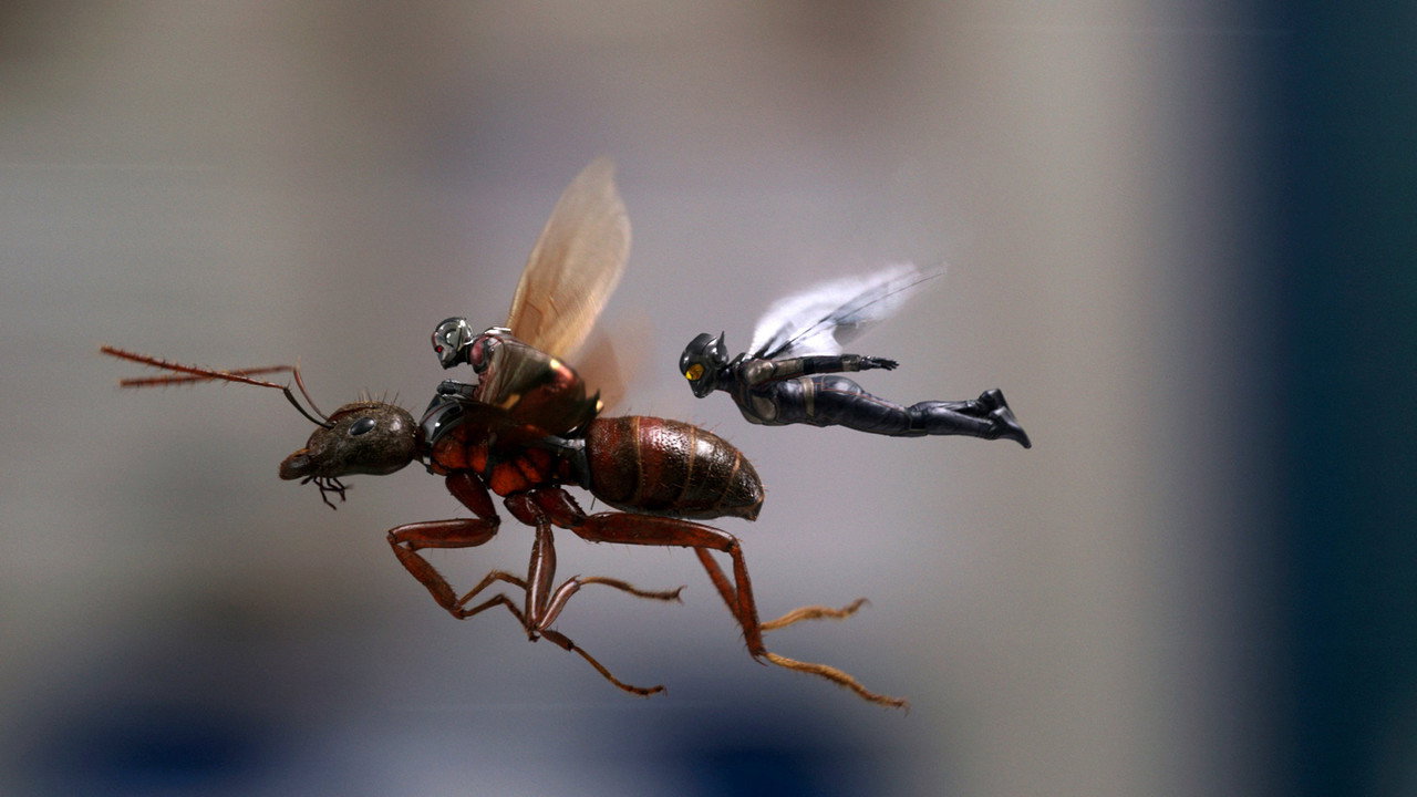 Ant-Man and the Wasp background 63