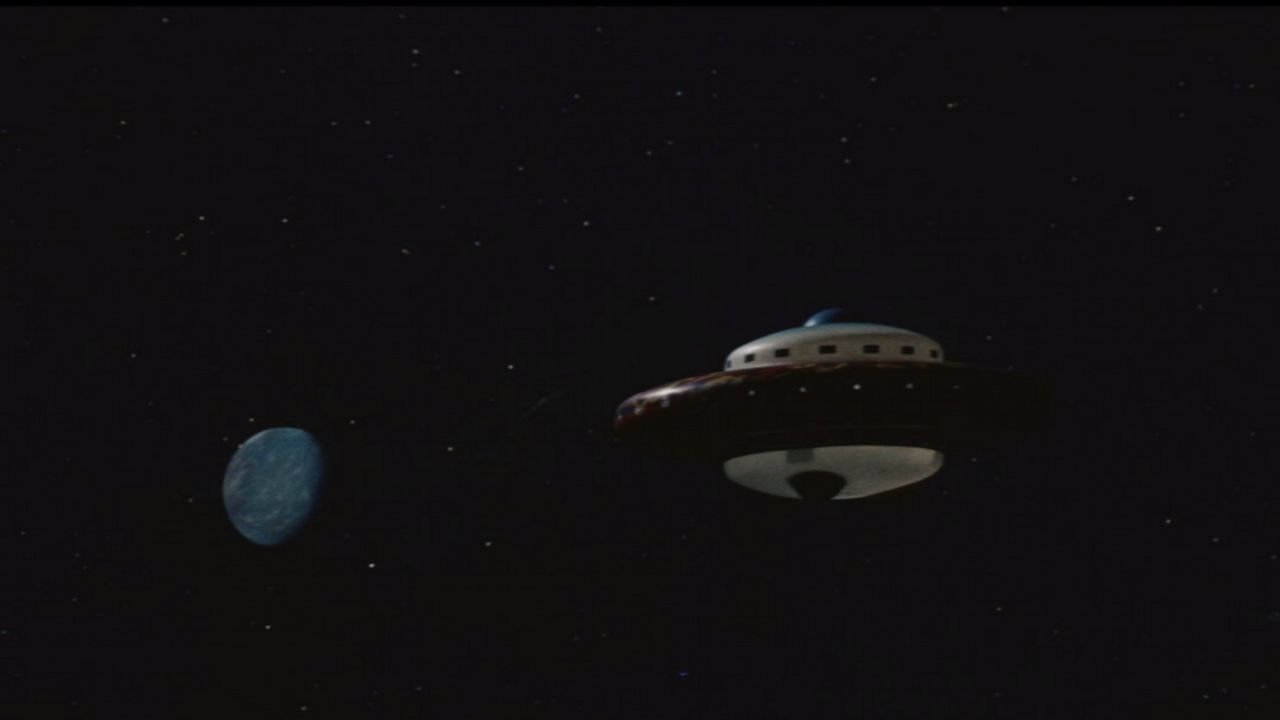 The Tigers: The World is Waiting For Us