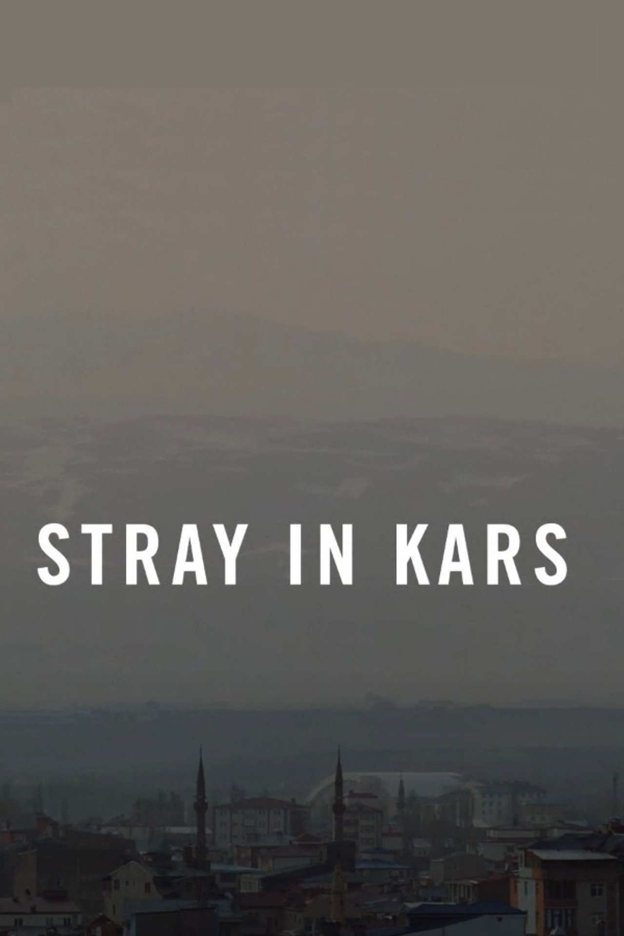 Stray in Kars filmaffisch