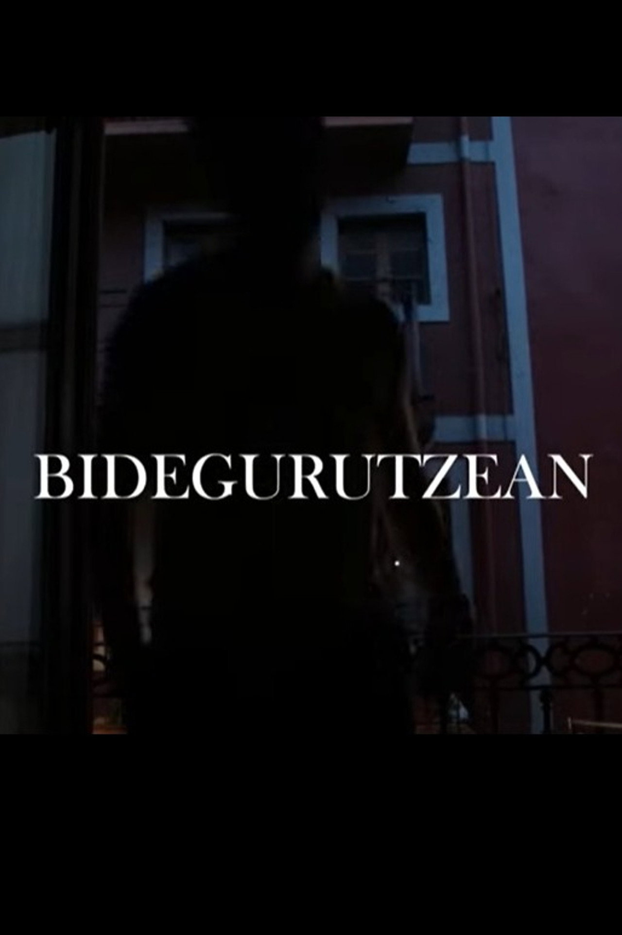 Bidegurutzean filmaffisch
