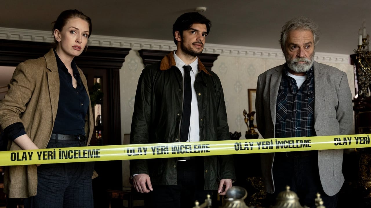 The Turkish Detective background