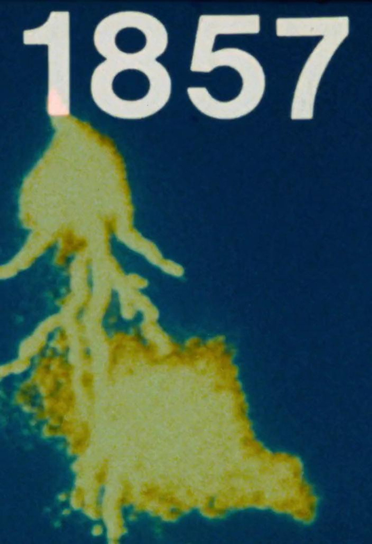 1857 (Fool's Gold) filmaffisch