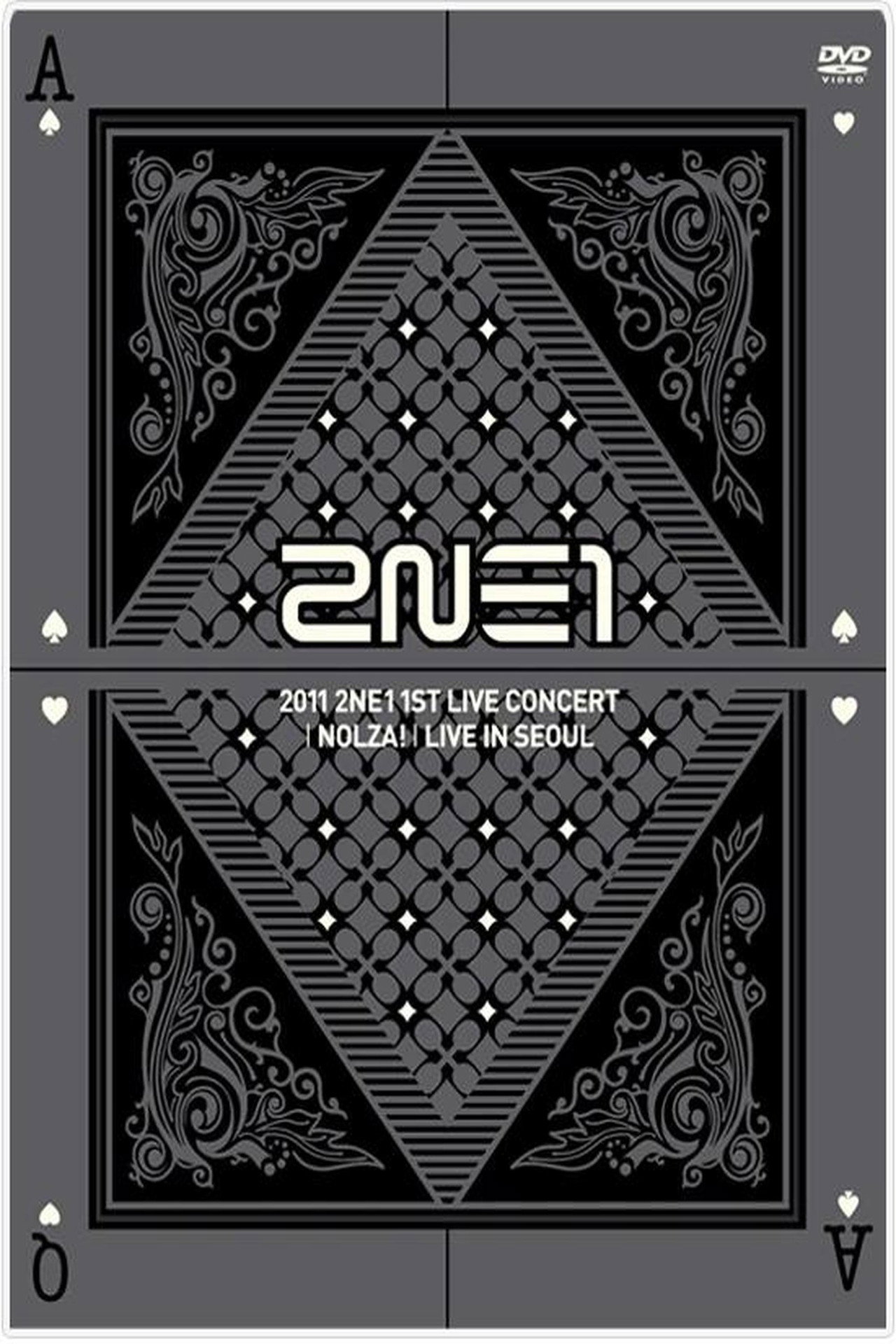 2NE1: 1st Live Concert NOLZA