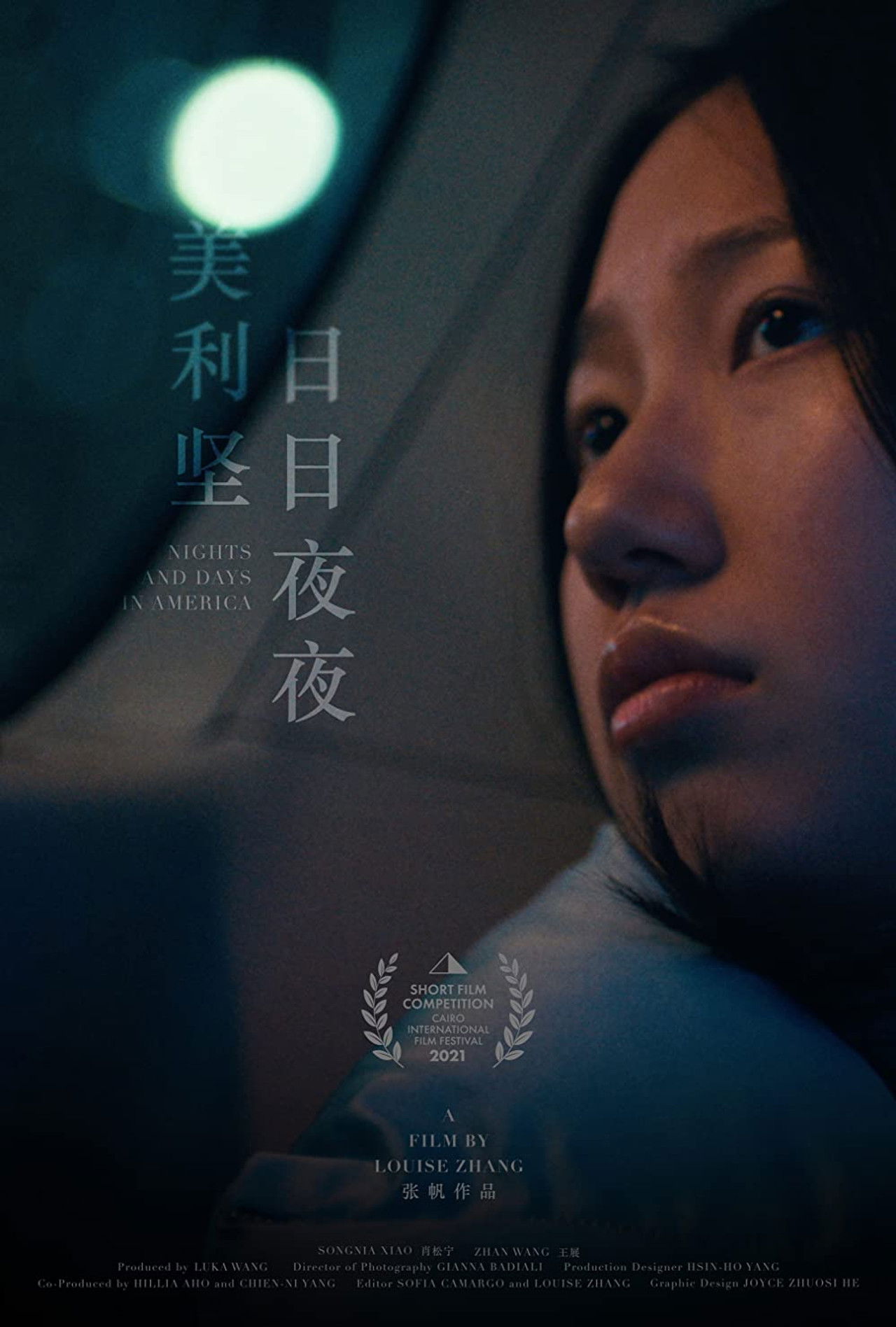 Nights and Days in America Backdrop