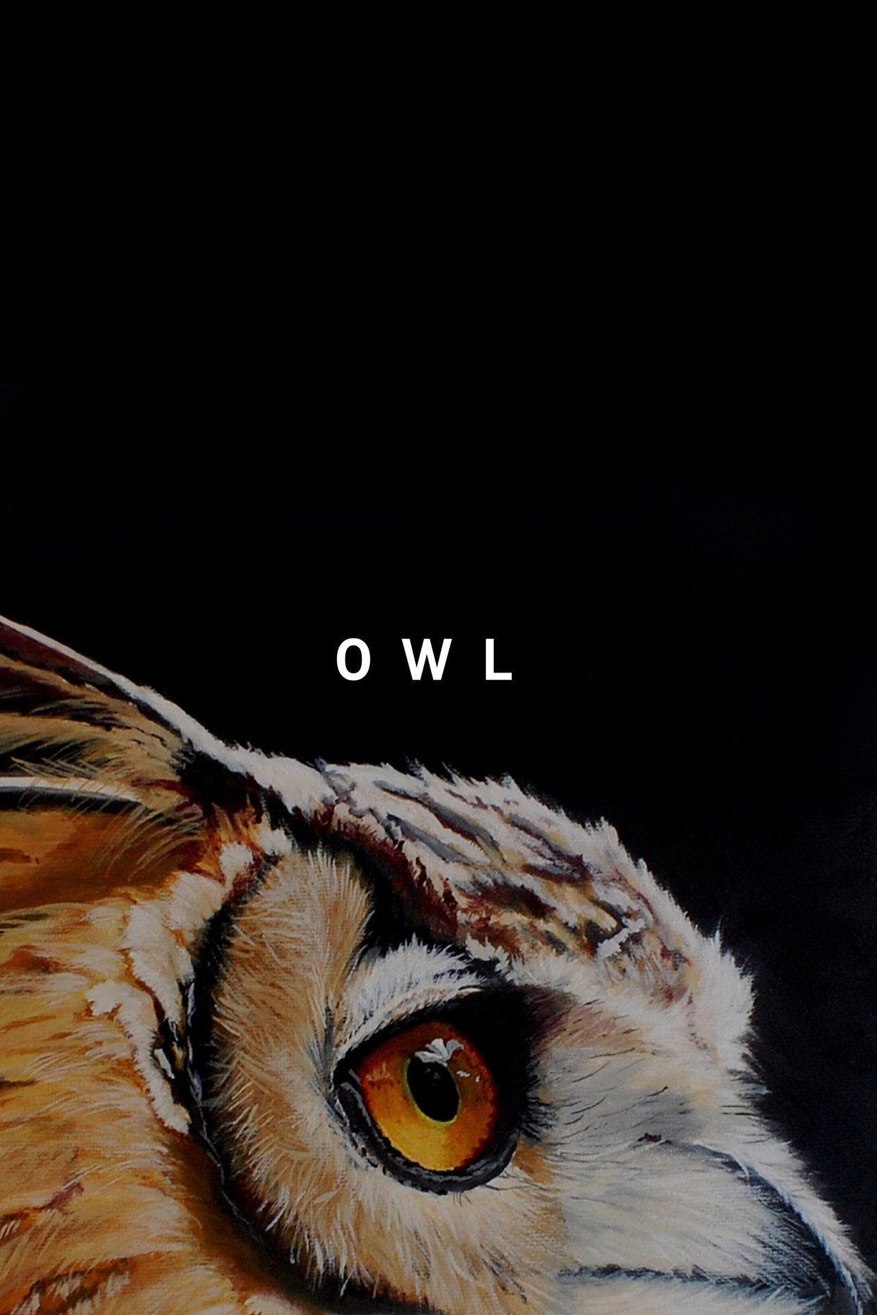Owl filmaffisch